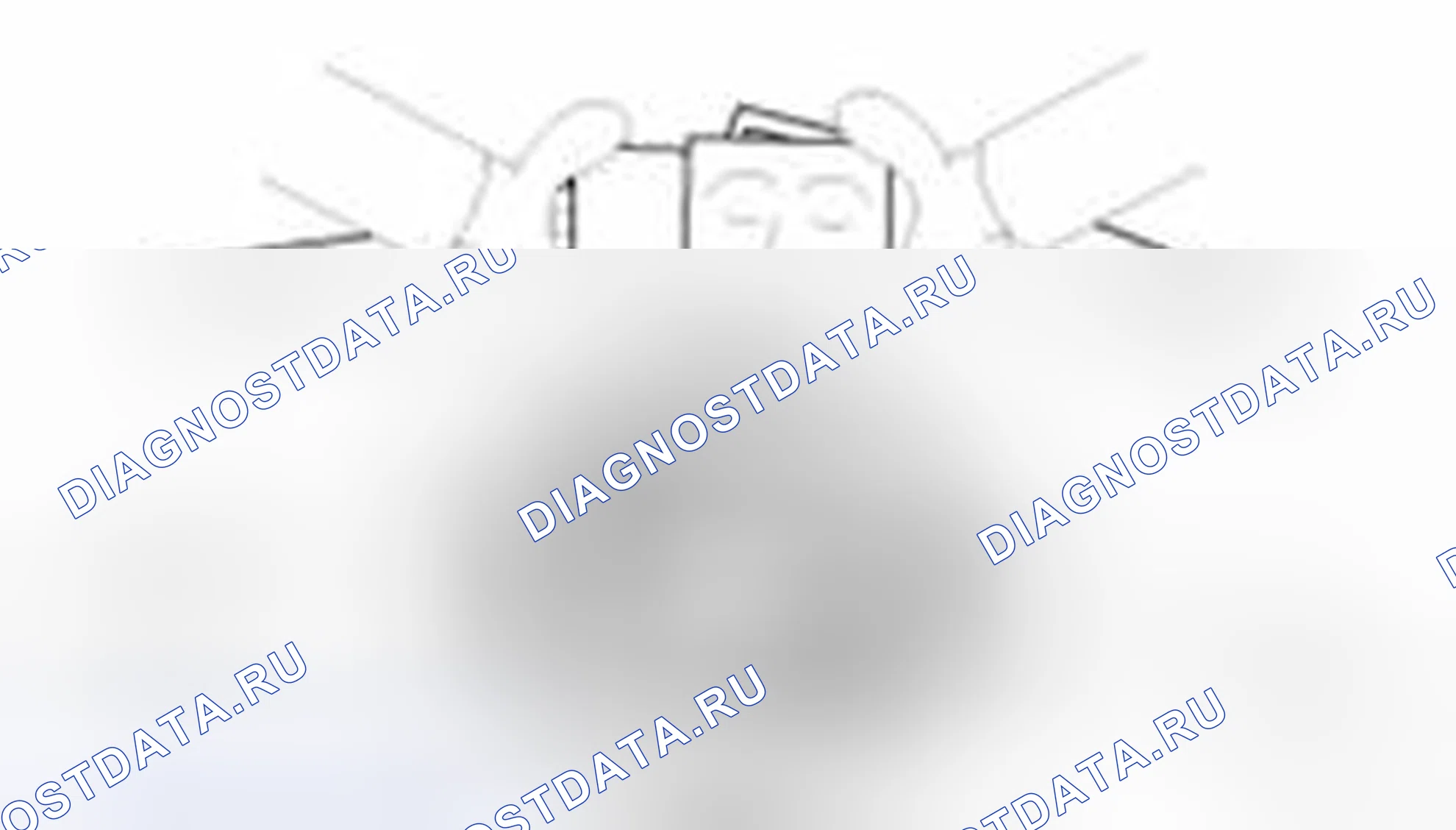 Рис. 36. Hyundai Veracruz I