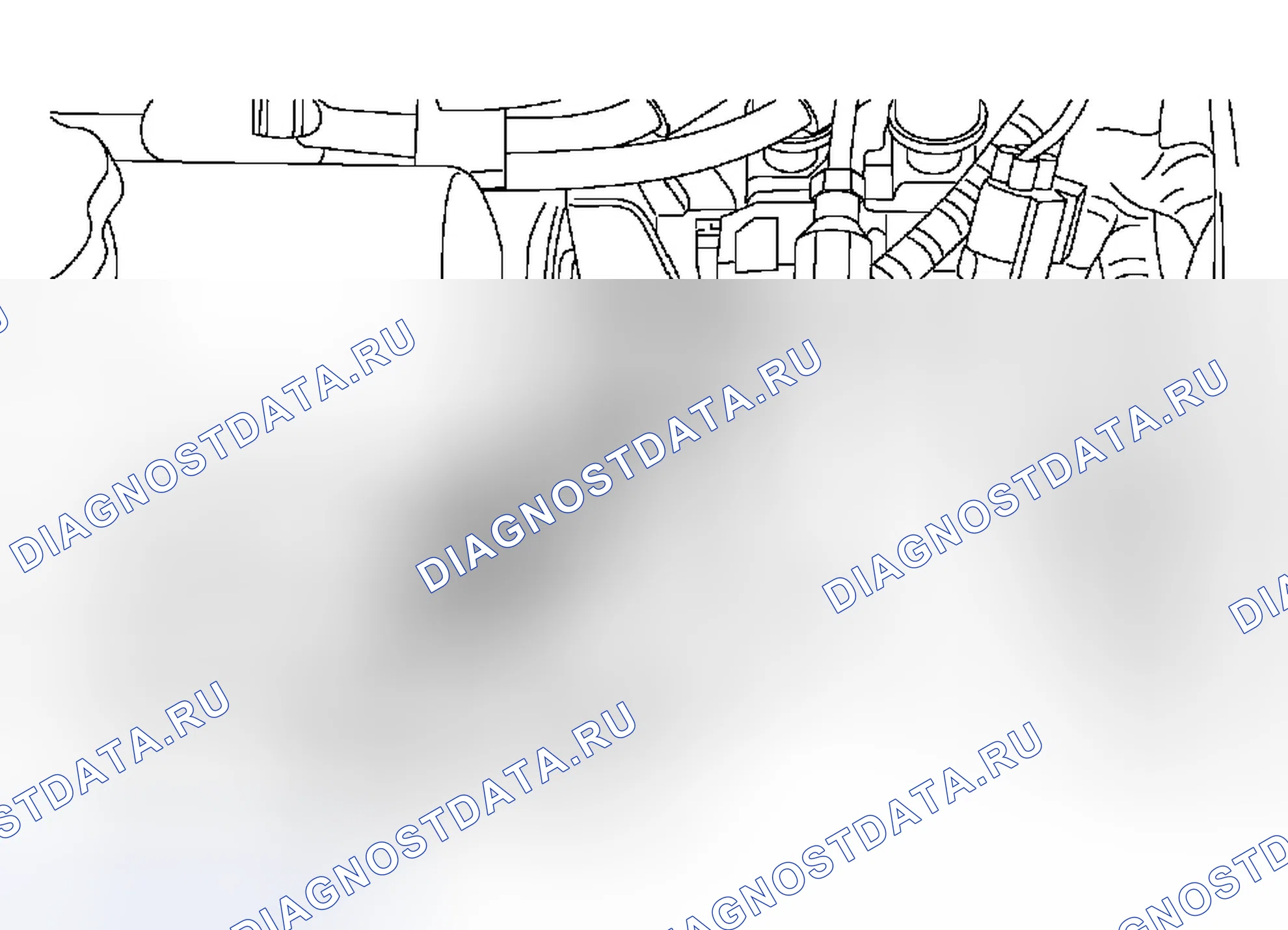 Рис. 1118. Ford Focus I рестайлинг