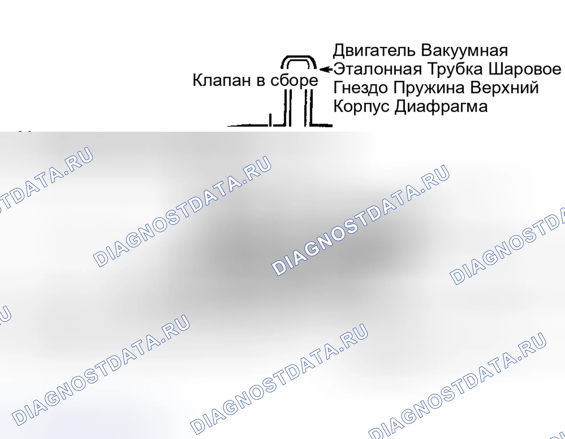 Рис. 55: Идентификация компонентов регулятора давления топлива. Ford Escort V рестайлинг