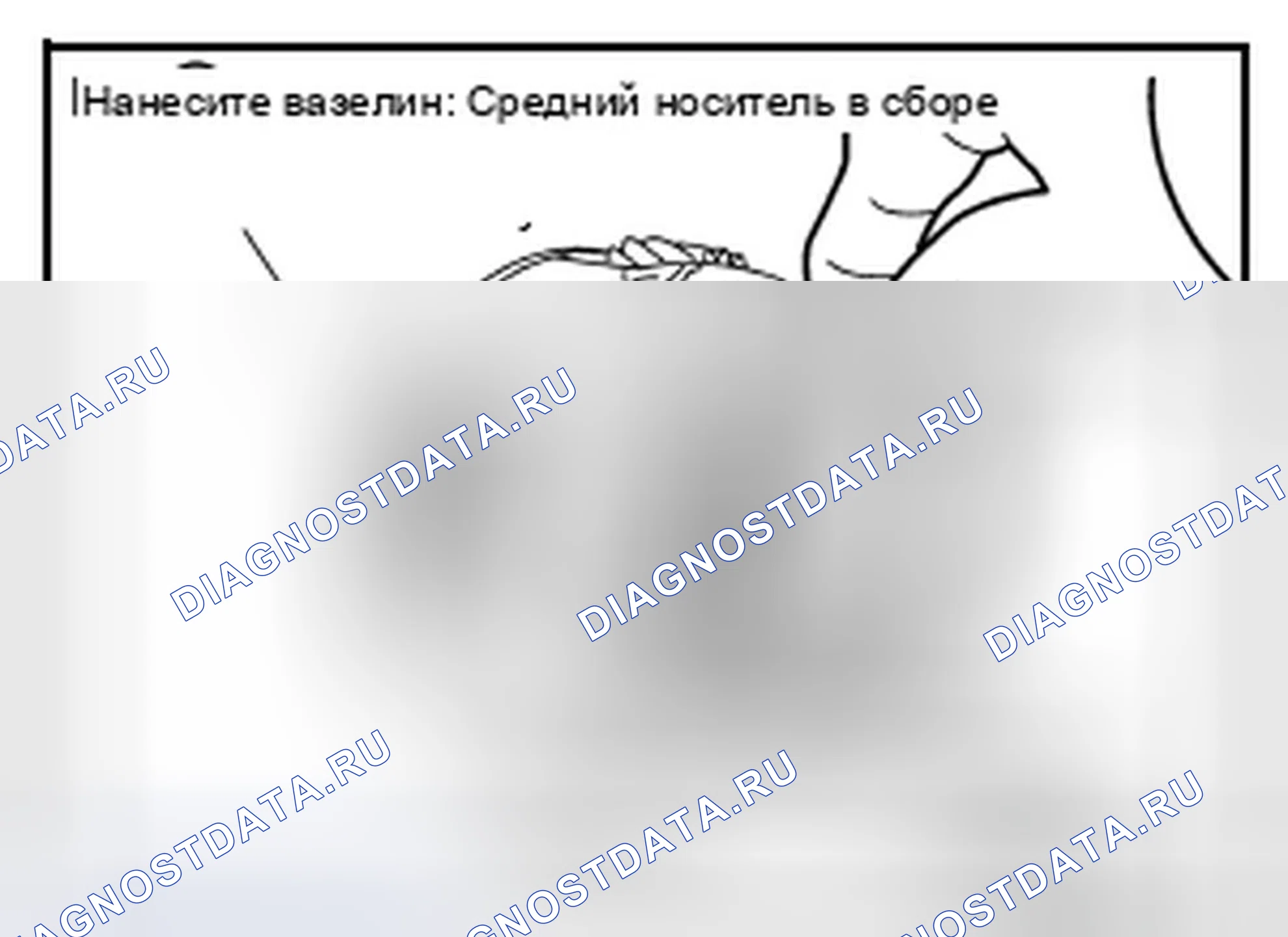 Рис. 332. Infiniti G25 IV рестайлинг