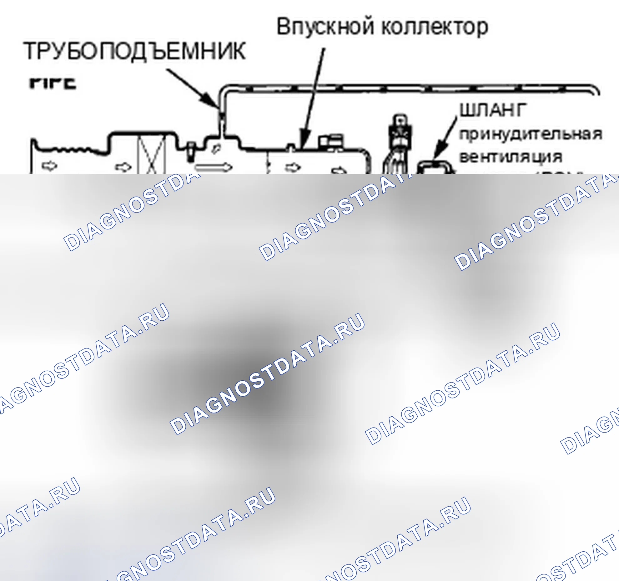 Рис. 665: Система принудительной вентиляции картера (принудительная вентиляция картера (PCV) (принудительная вентиляция картера)). Honda Insight ZE2 рестайлинг