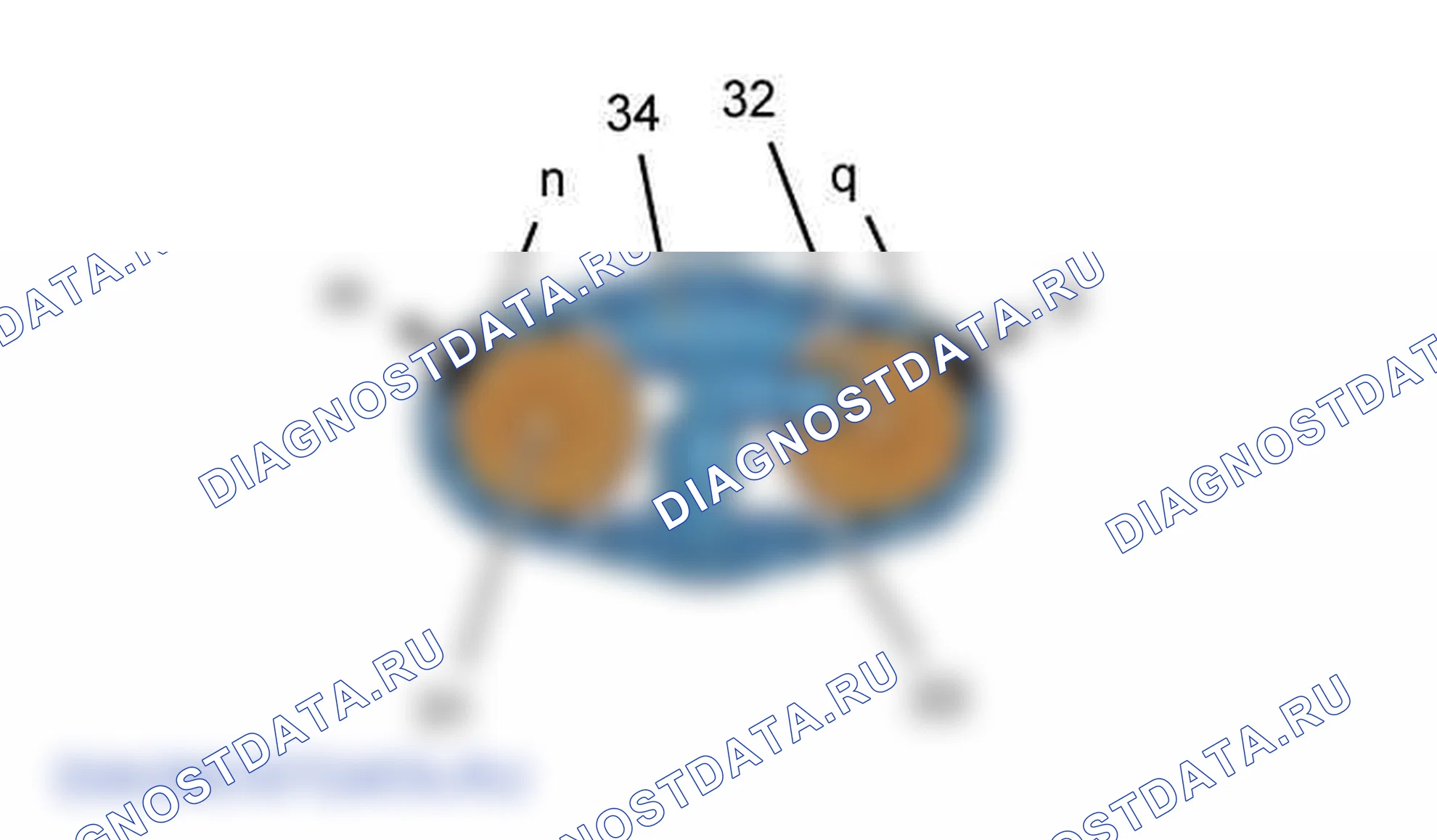 Повторная установка: двигателя — b1bg323d. Citroen C5 I рестайлинг