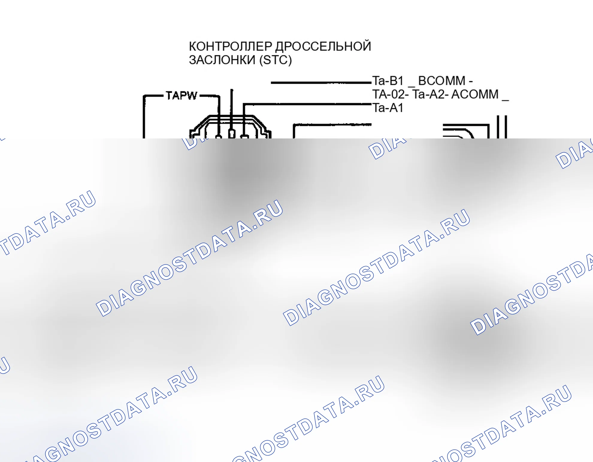 Рис. 134: Системные разъемы Ta и тестовые цепи. Ford Club Wagon E150 