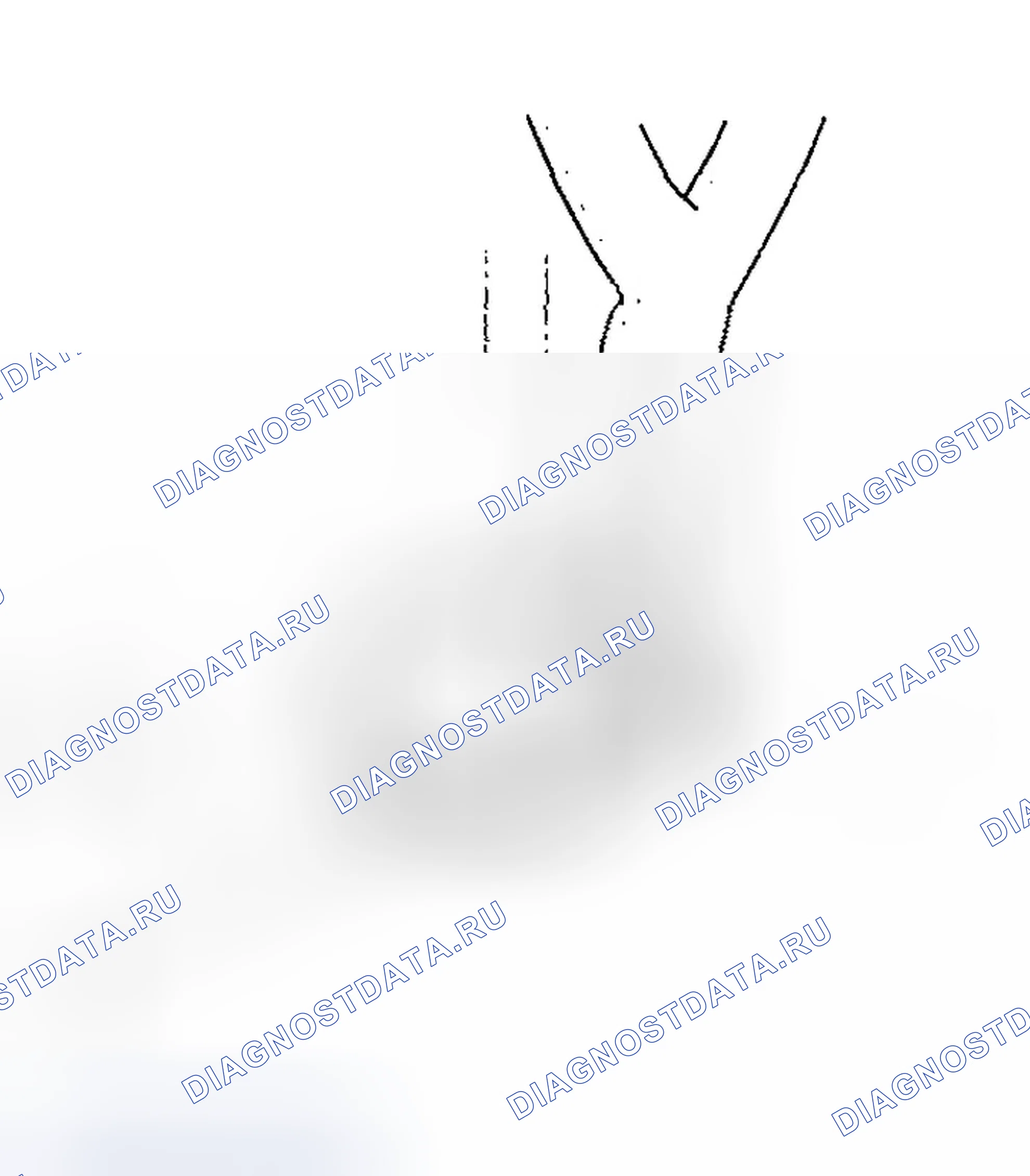 Рис. 920. Honda Civic VII рестайлинг