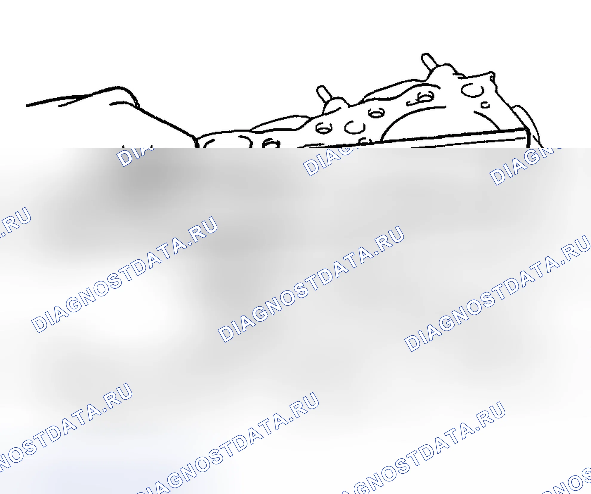 Рис. 994: ГОЛОВКА ЦИЛИНДРА. Mazda MX-5 NA