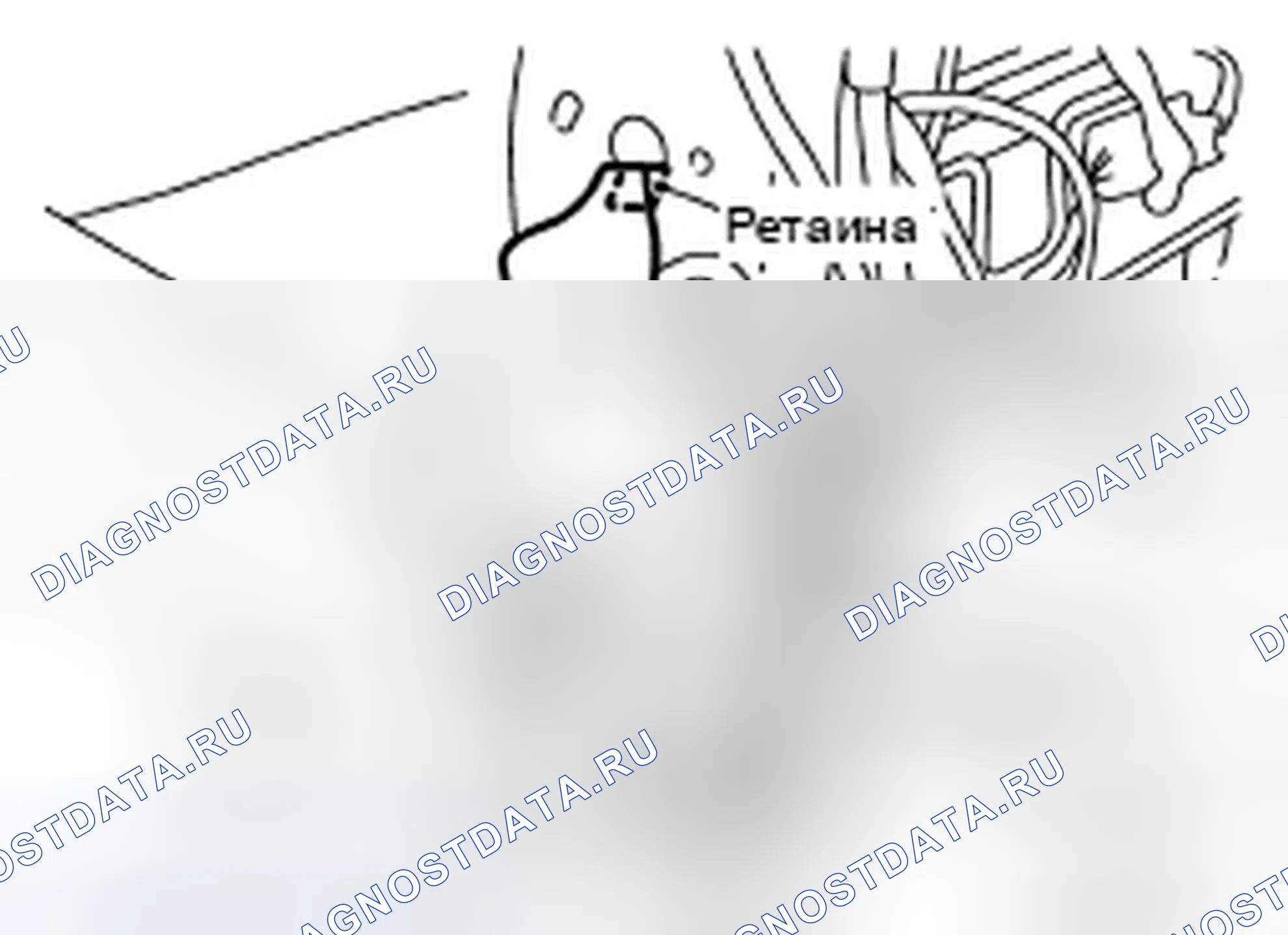 Рис. 51. Infiniti FX45 I рестайлинг
