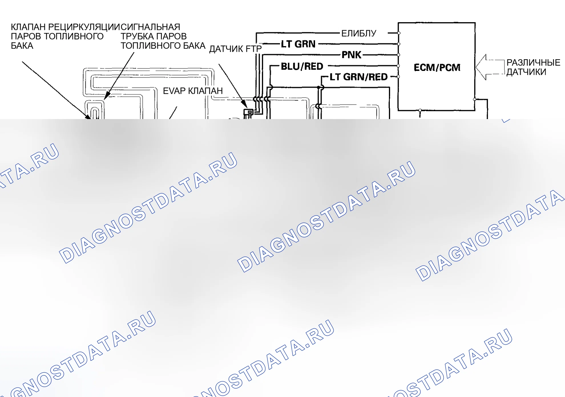 Рис. 89: Модели Diagram-2002-2004 контроля за выбросами в результате испарения (EVAP). Acura RSX I