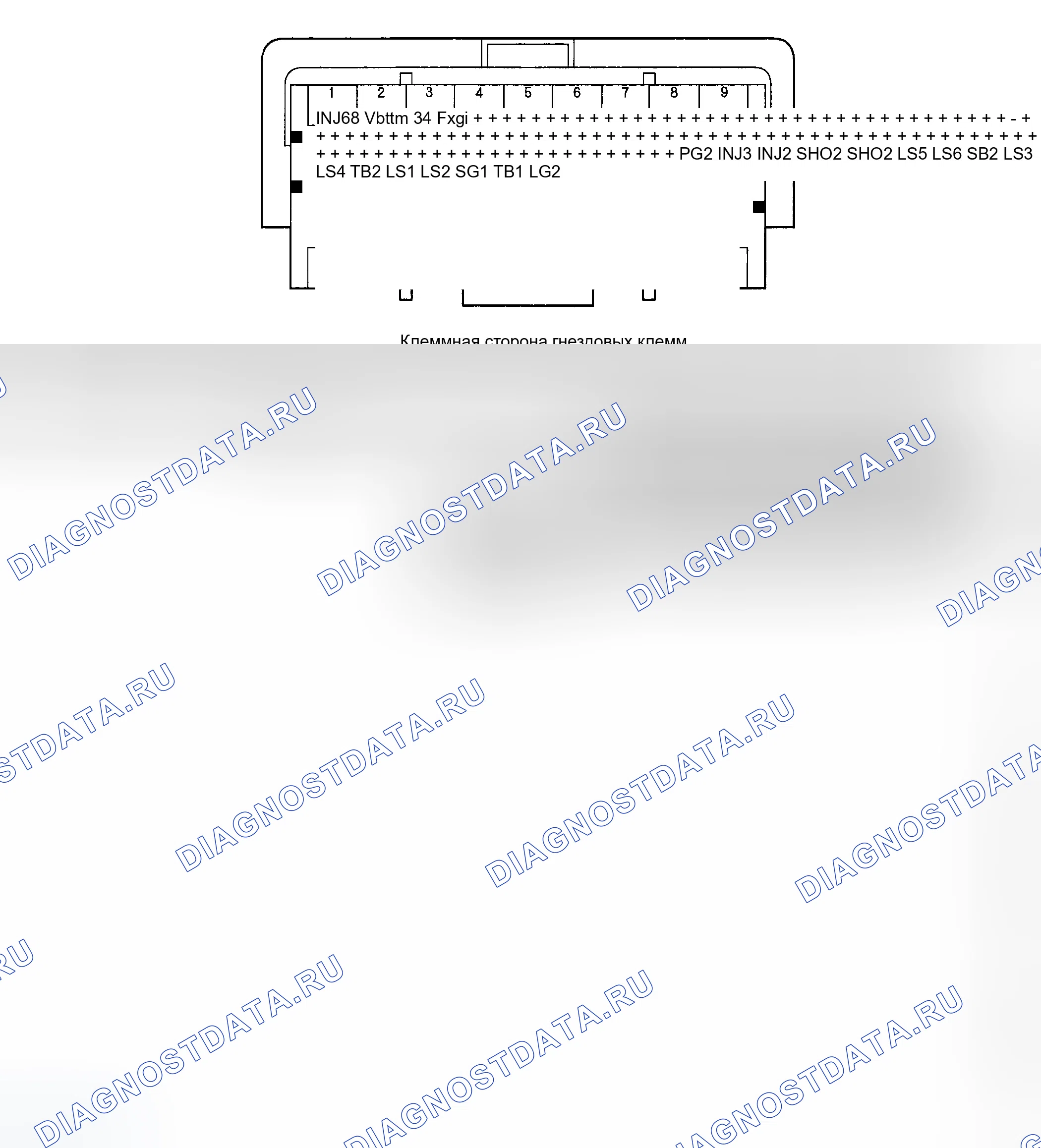 Рис. 20: Входные и выходные сигналы ИКМ на разъеме B (треугольник) (44P). Honda Odyssey III