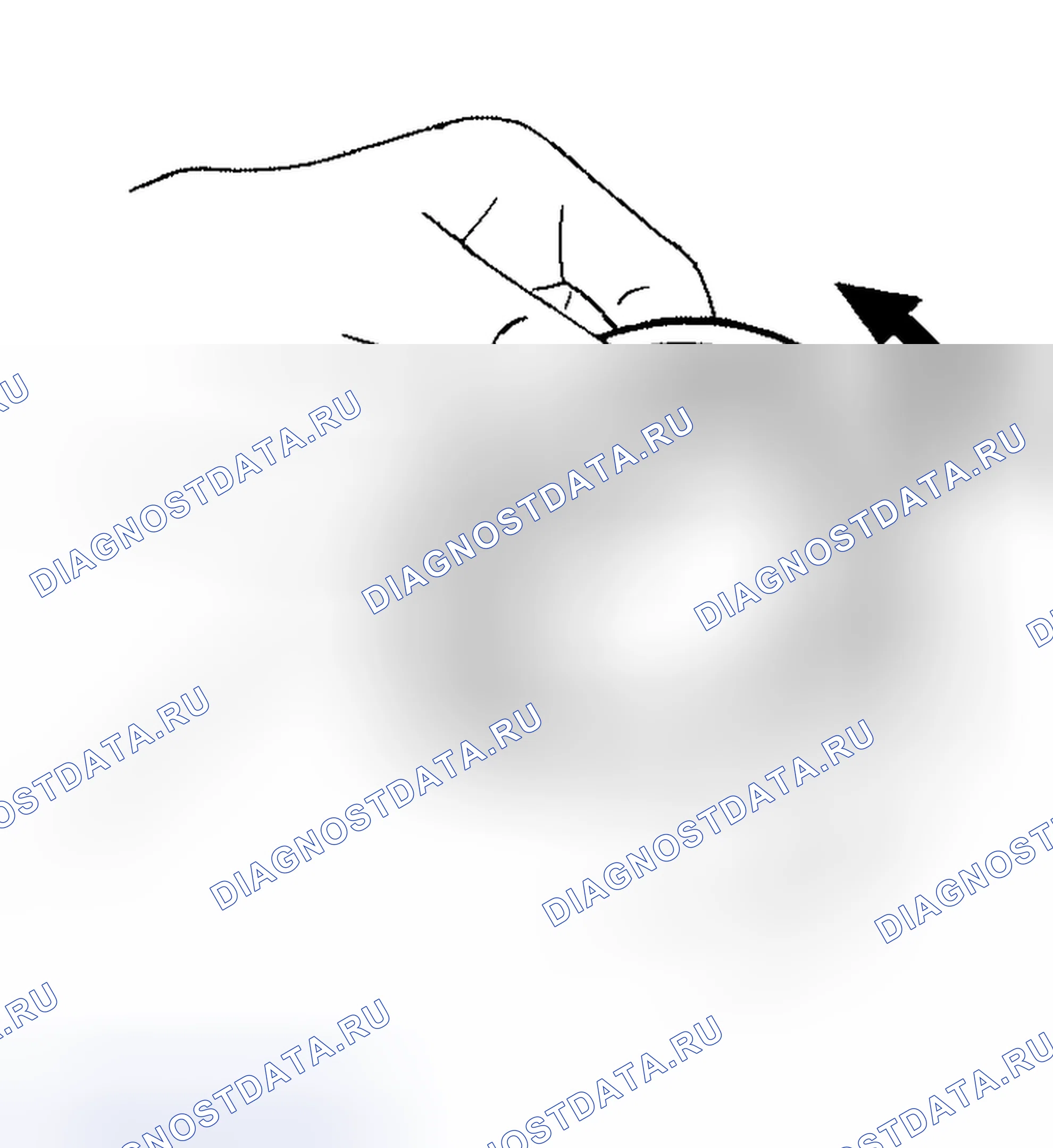 Рис. 125: Подшипник. Nissan Altima L31