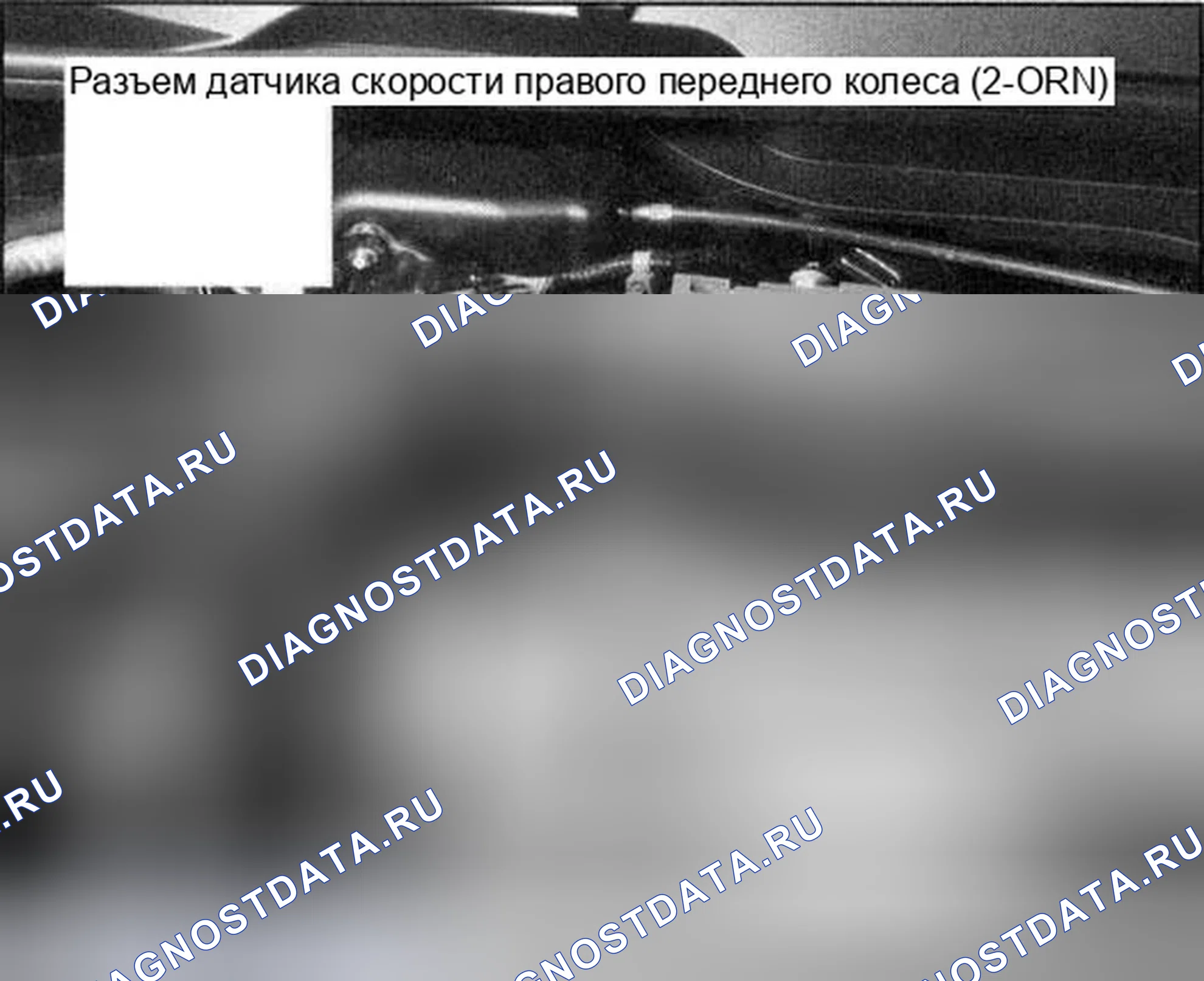 Рис. 5. Honda Accord VII рестайлинг