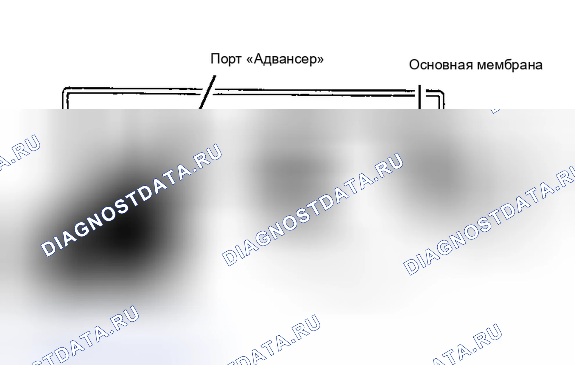 Рис. 1: Система управления искрой (Celica и Pickup). Toyota Celica A60