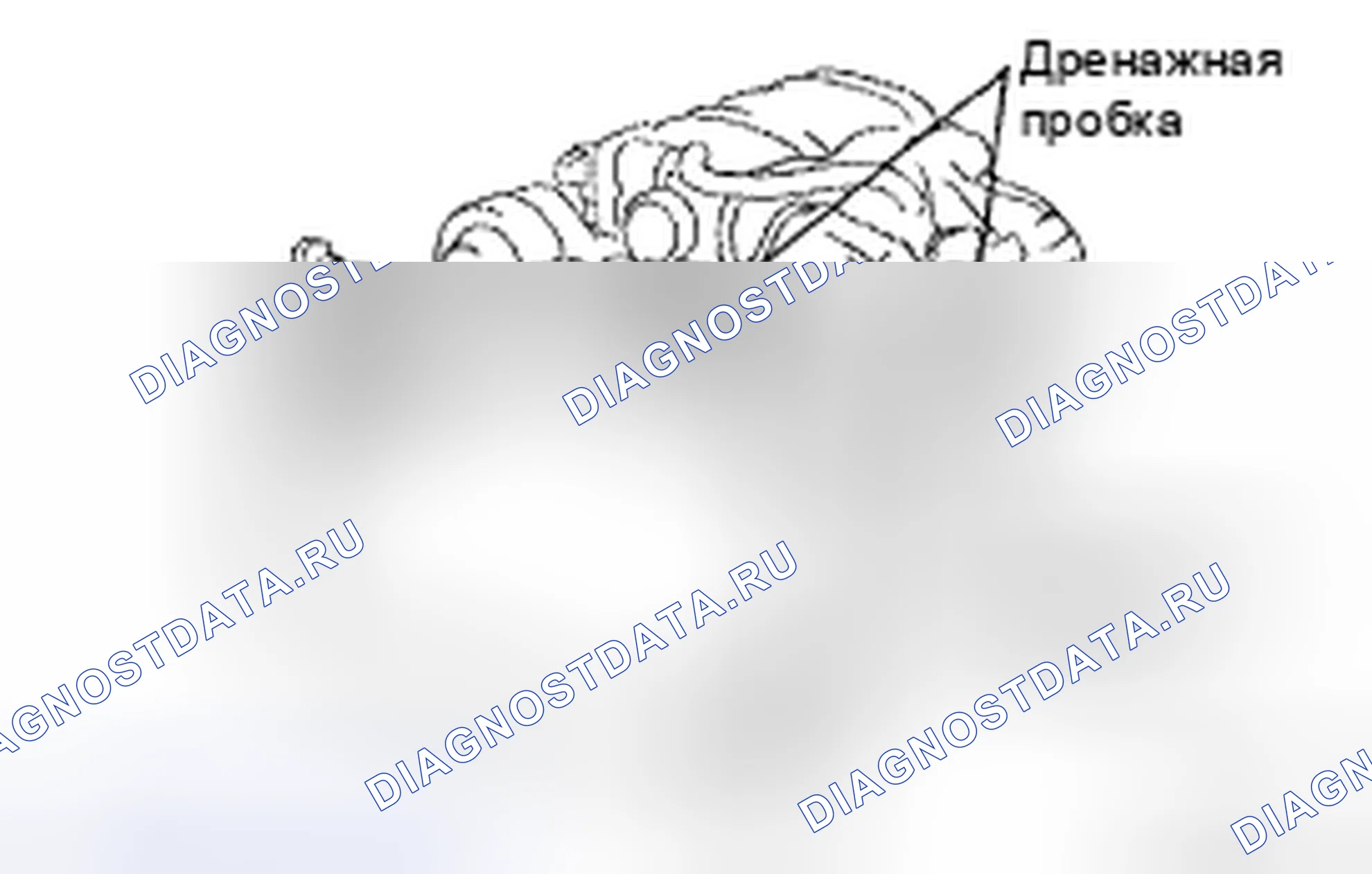Рис. 8: ЗАМЕНА. Honda CR-V VI
