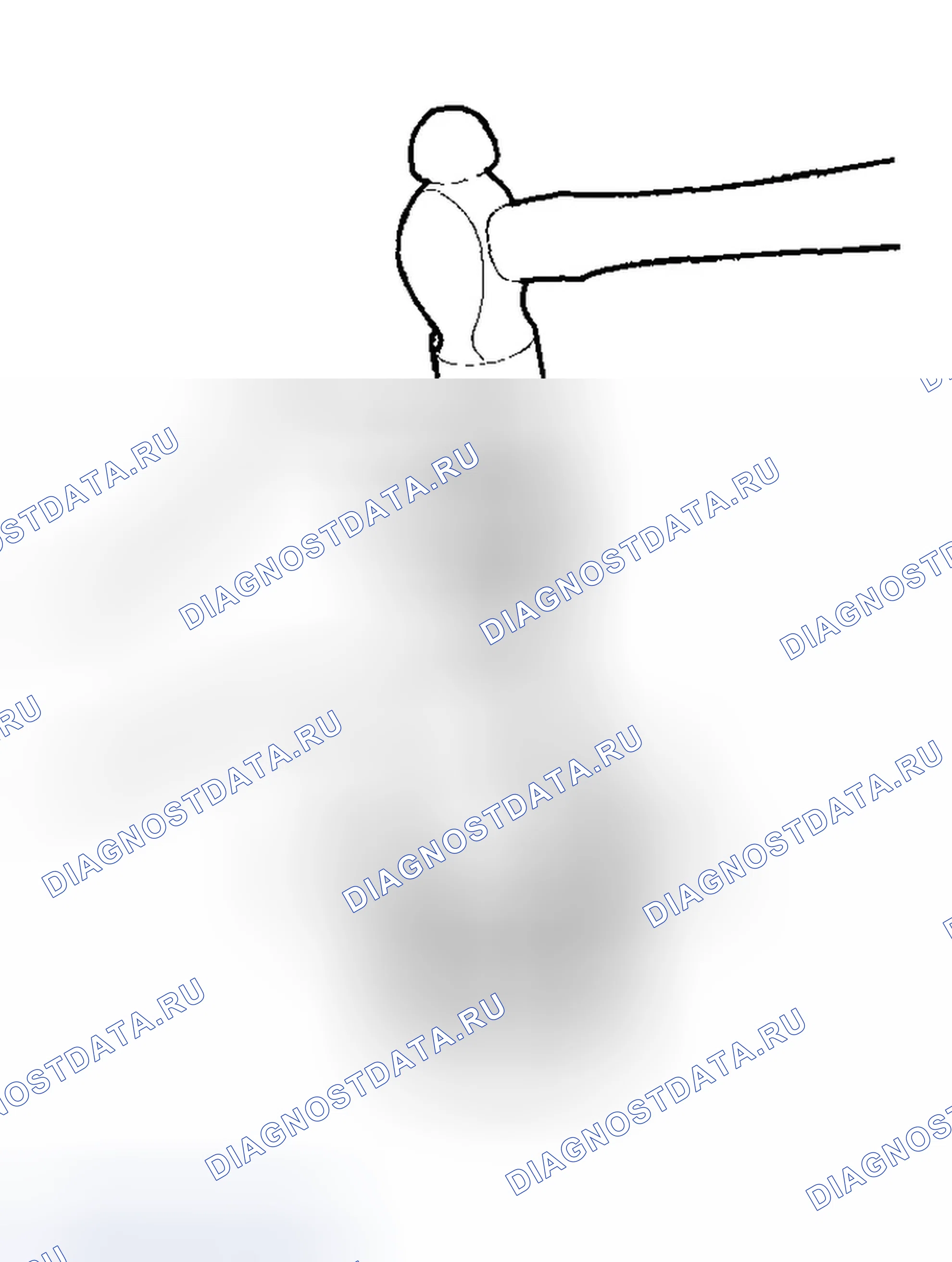 Рис. 298. Honda Element YH2