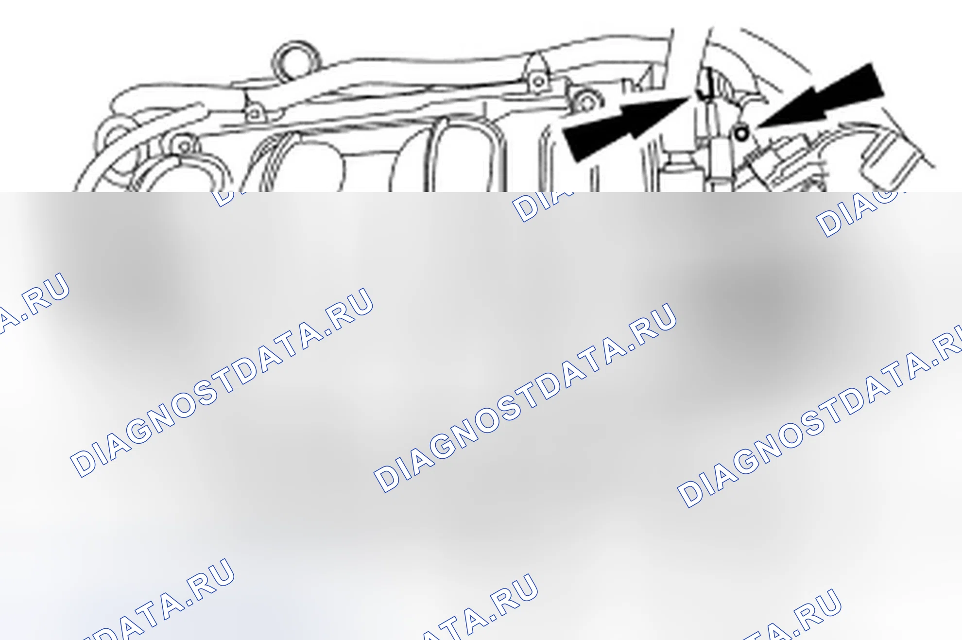 Рис. 764. Ford Escape I рестайлинг 2