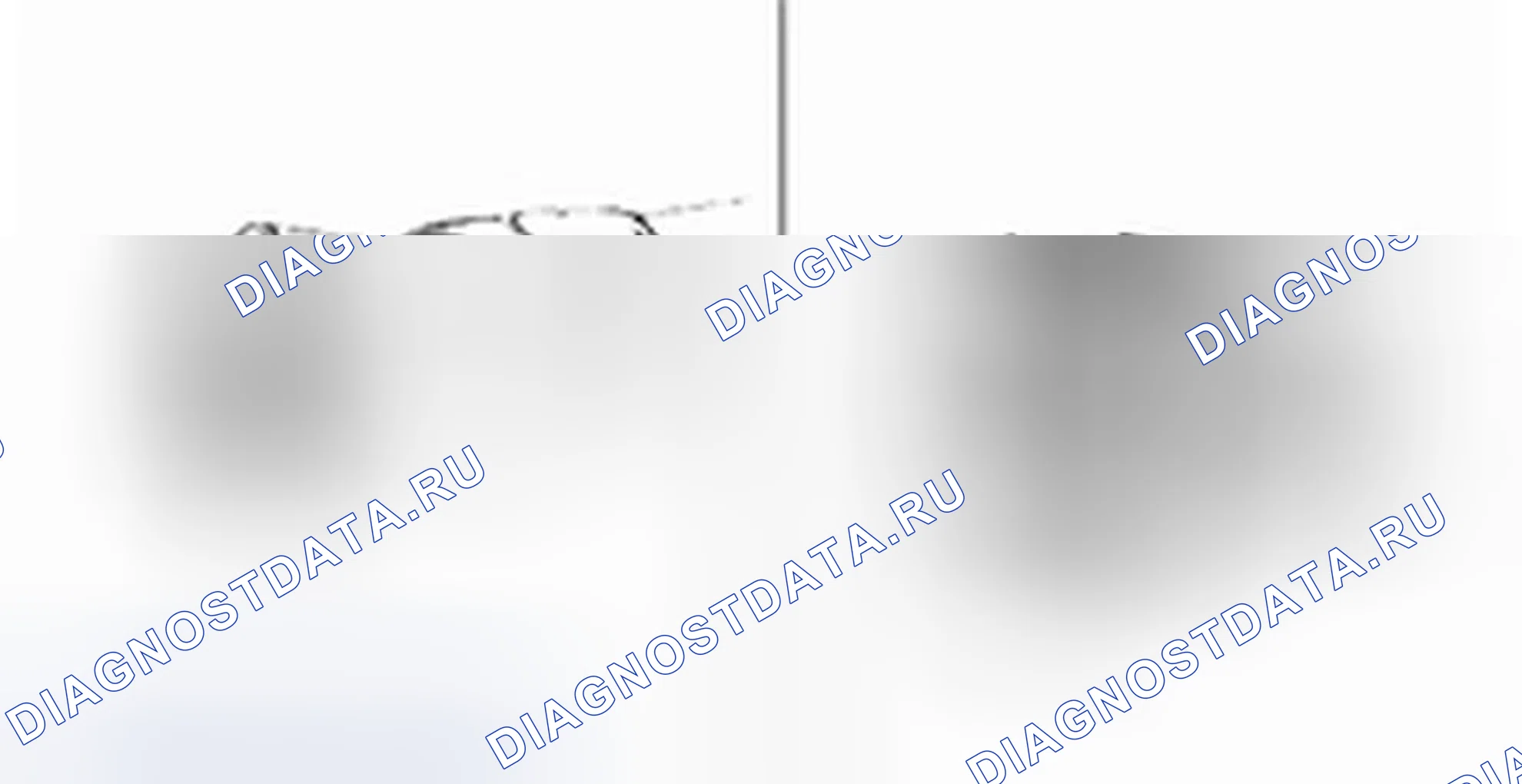 Проверка карданного вала. Hyundai H-1 A1