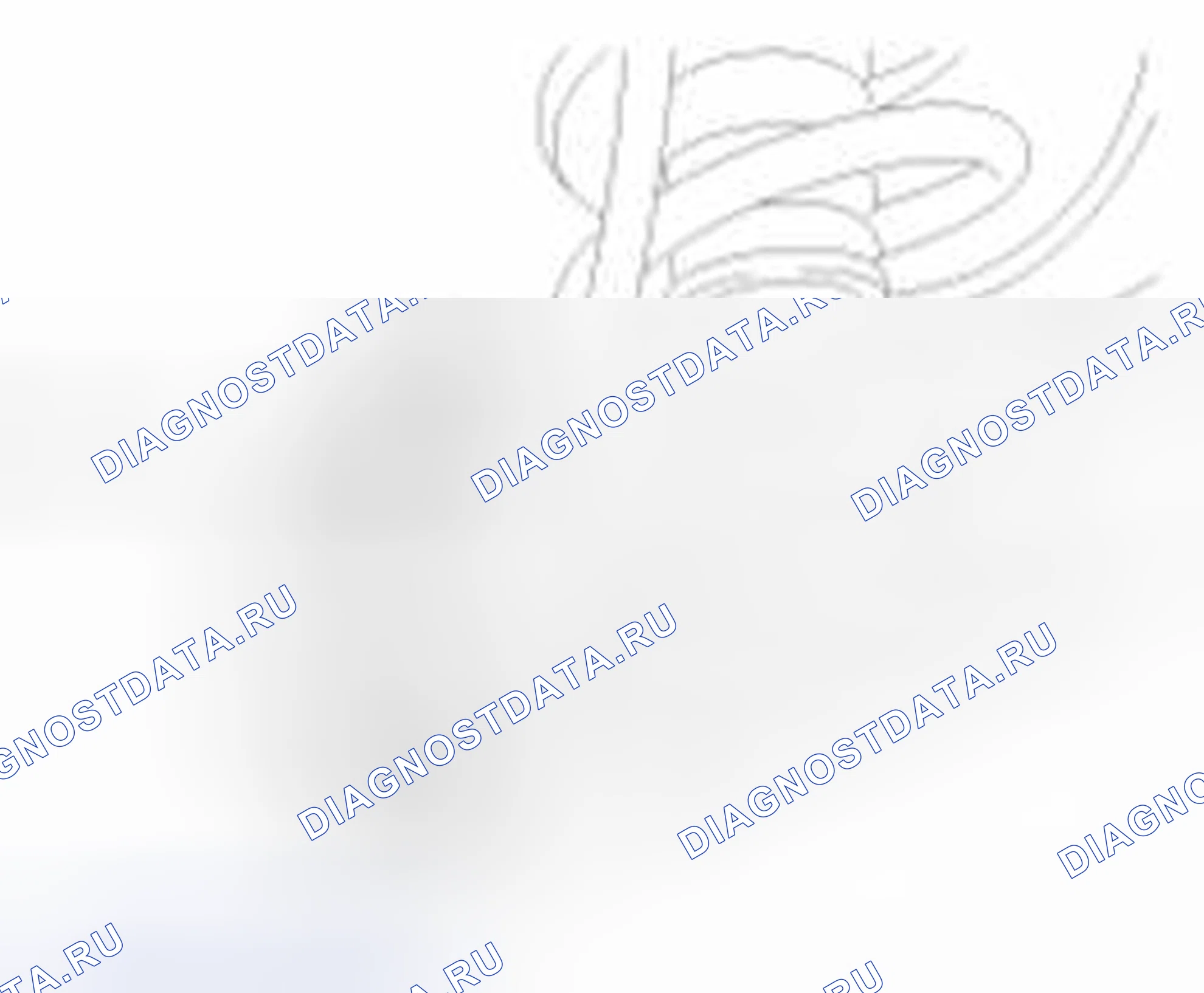 Рис. 4: Задняя часть. Geely SC7 I