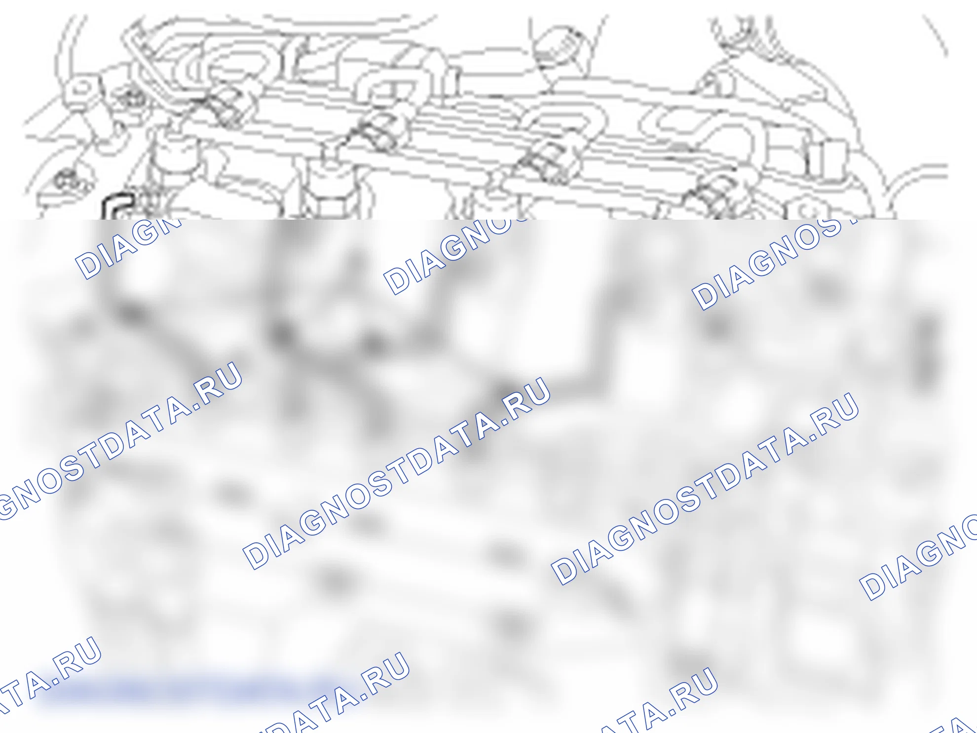 Снятие инжектора. Hyundai Santa Fe CM
