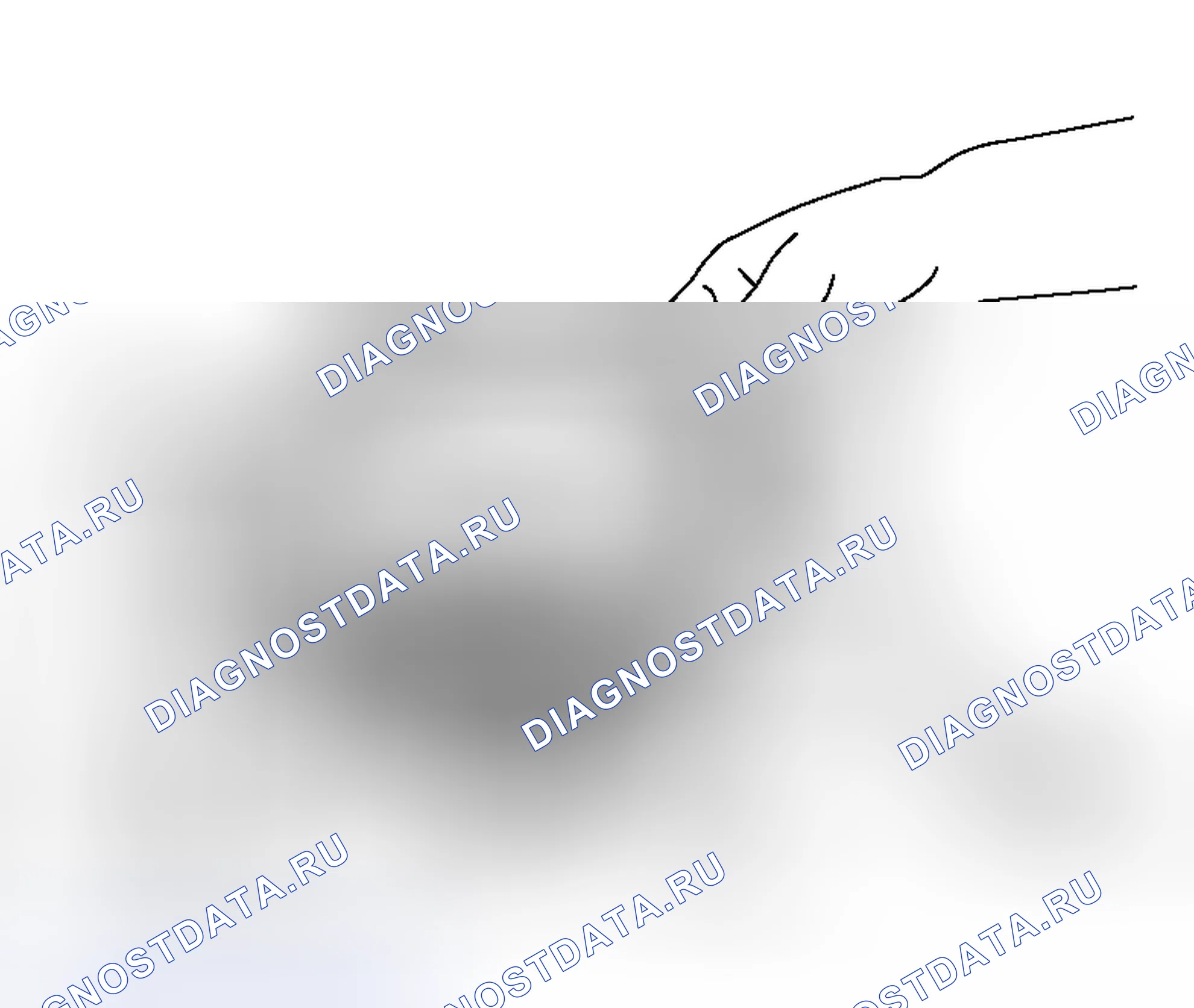 Рис. 613. Honda Freed+ I
