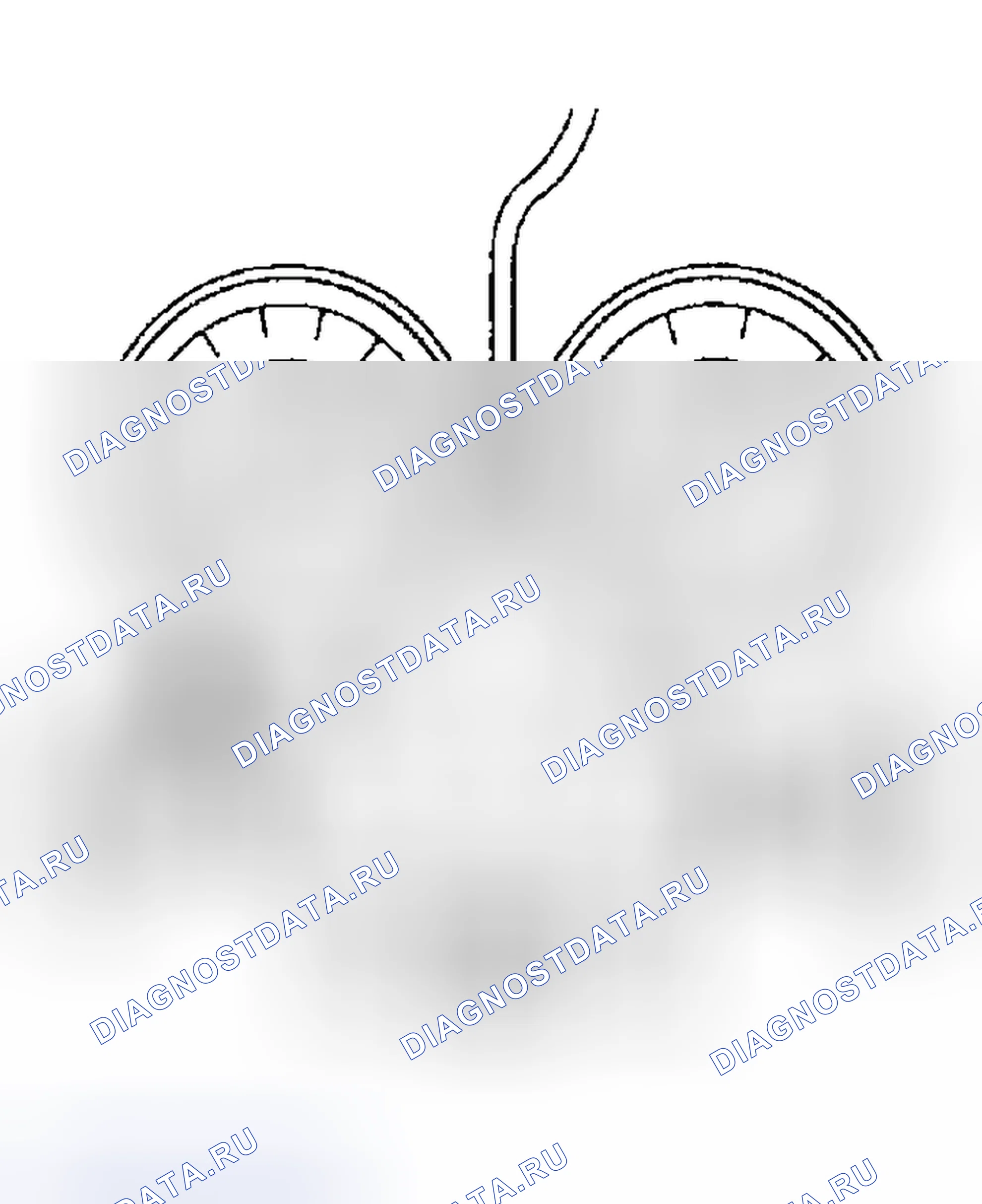 Рис. 16. Subaru Impreza GD/GC/GG