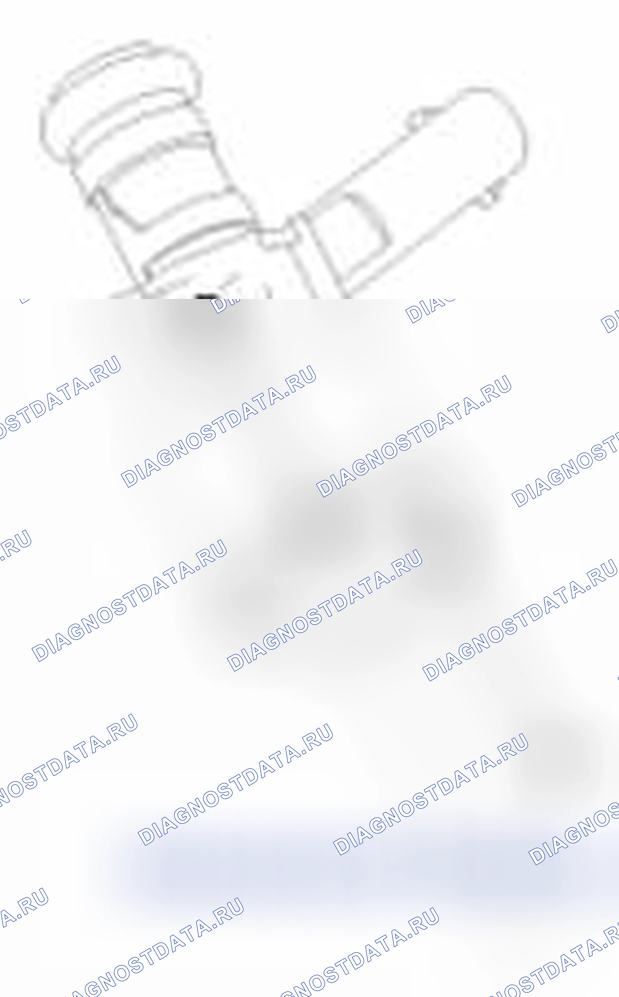 Рис. 212. Haval Beast (Shenshou) I