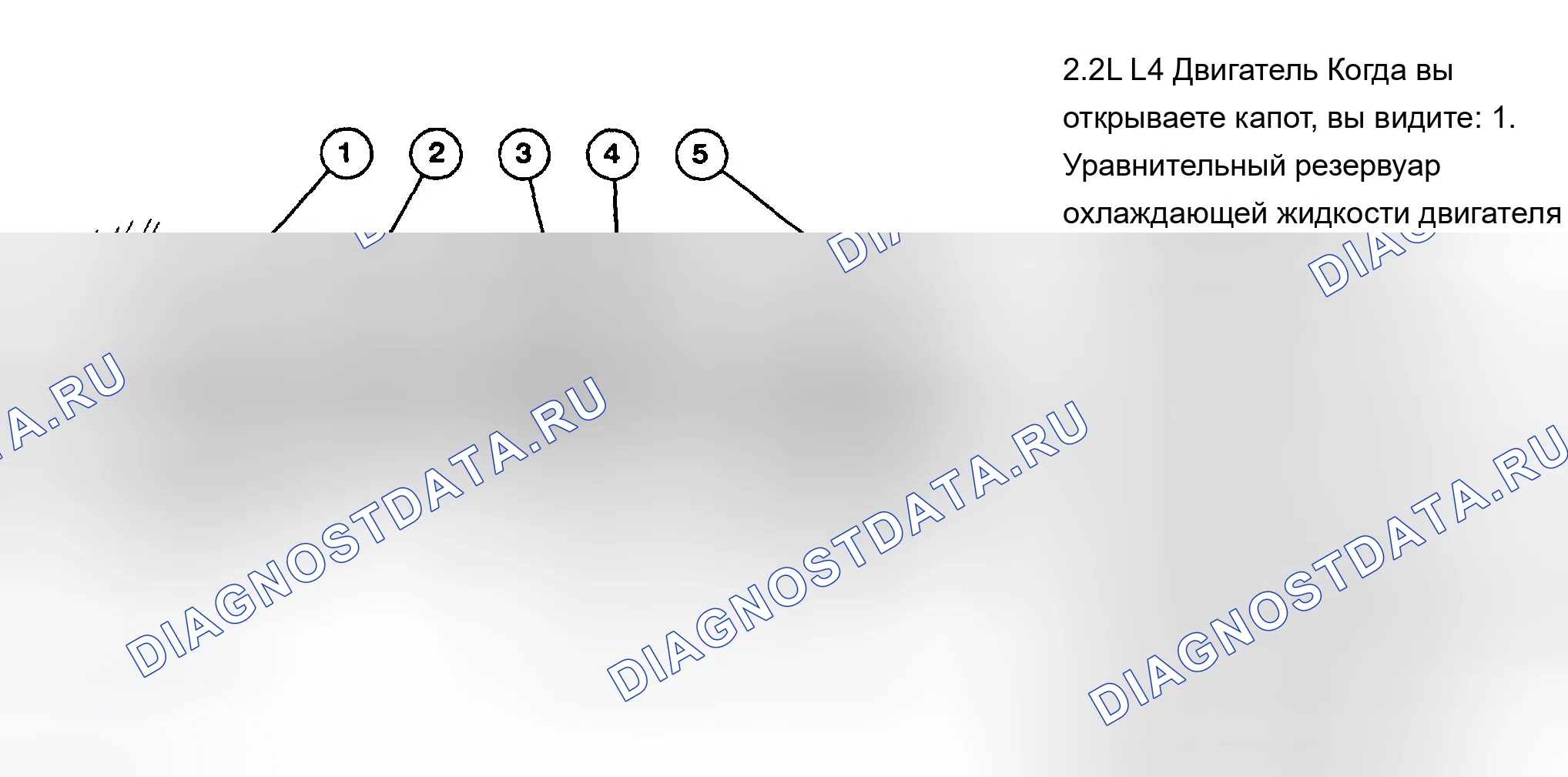 Рис. 2: РАСПОЛОЖЕНИЕ ТОЧЕК ОБСЛУЖИВАНИЯ. Chevrolet Corsica I