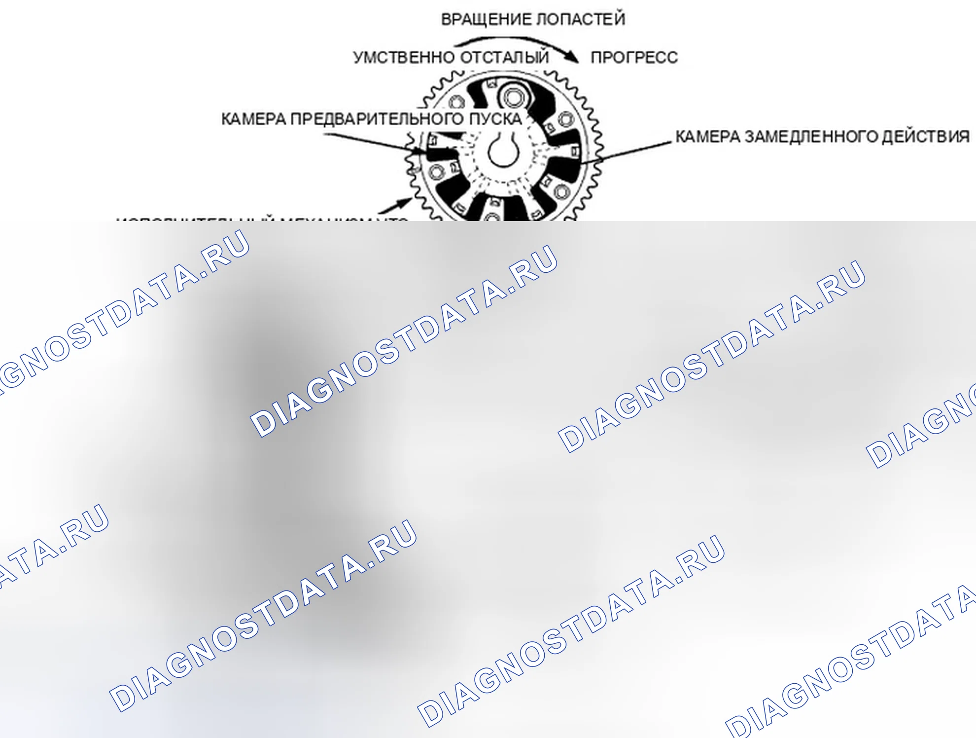 Рис. 356: Схема системы VTC. Honda CR-V III рестайлинг