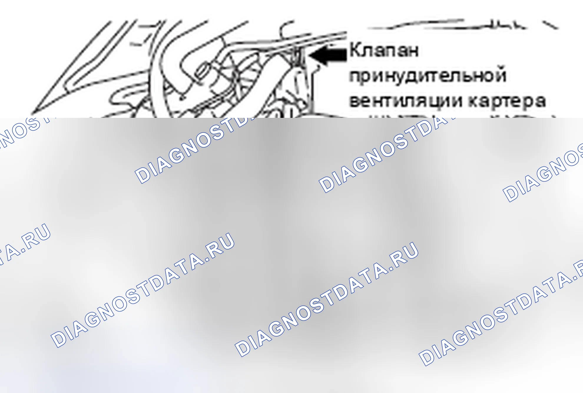 Рис. 4. Mitsubishi Lancer Ralliart X