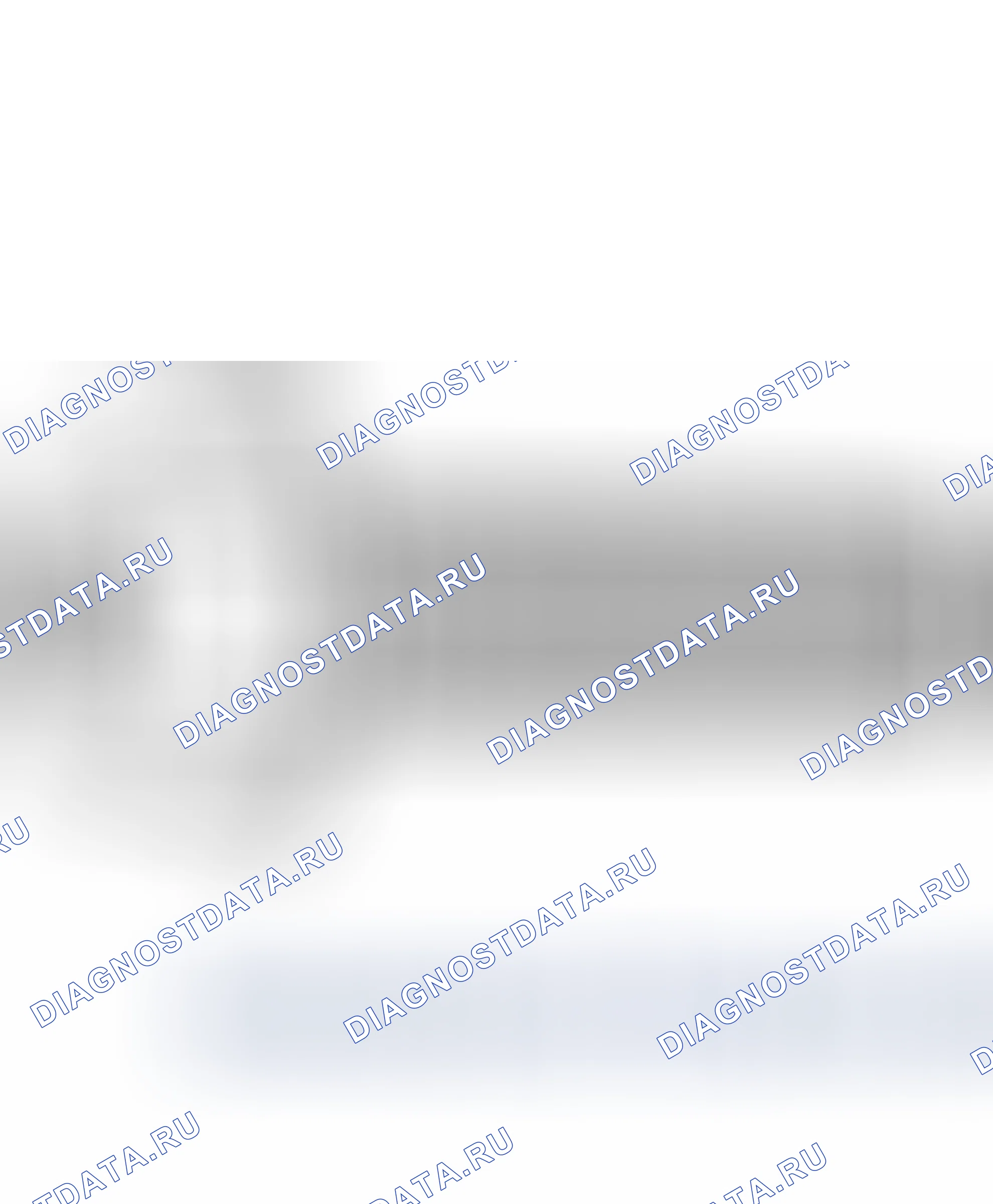 Общая информация. Hyundai Santafe Sport DMA