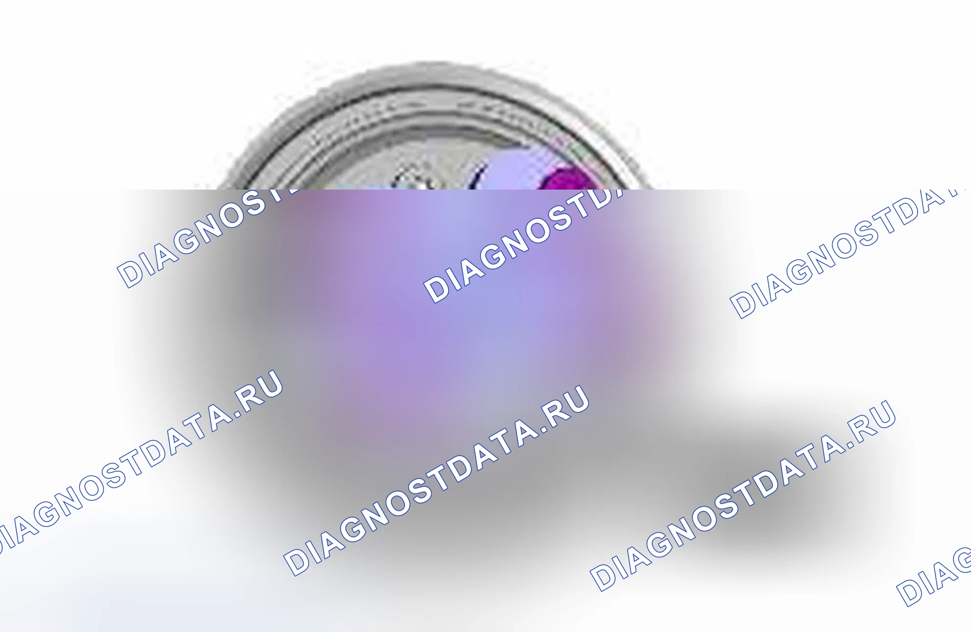 Рис. 59. Jaguar XJ X351