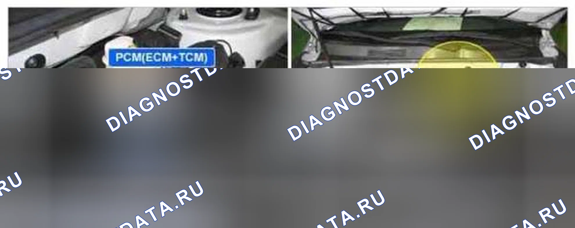 Рис. 211: Расположение компонентов. Kia Magentis II рестайлинг
