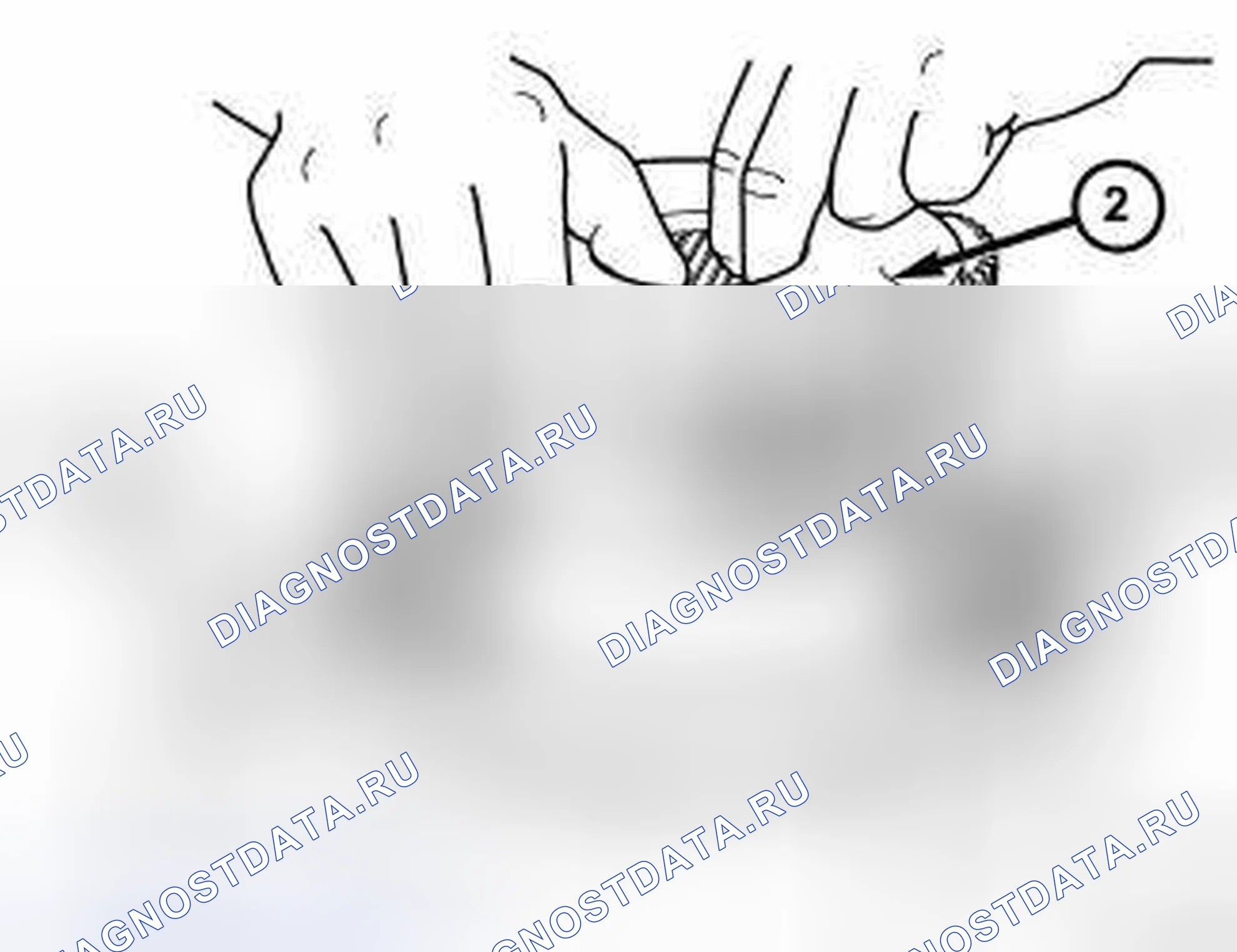 Рис. 138. Jeep Wrangler III