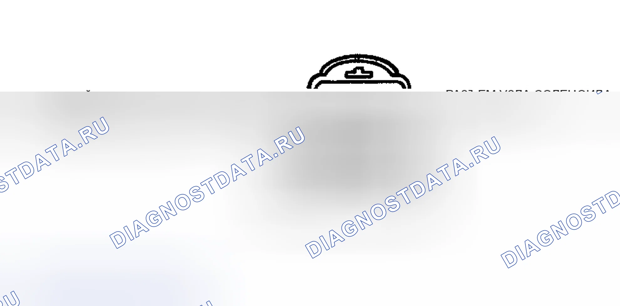 Рис. 79: Диагностические средства. Hyundai Porter III