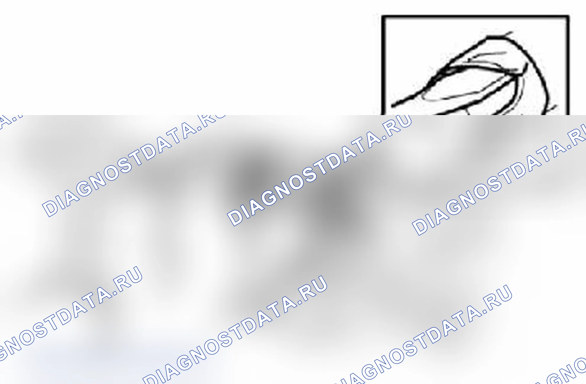 Рис. 366. Suzuki Grand Vitara II рестайлинг