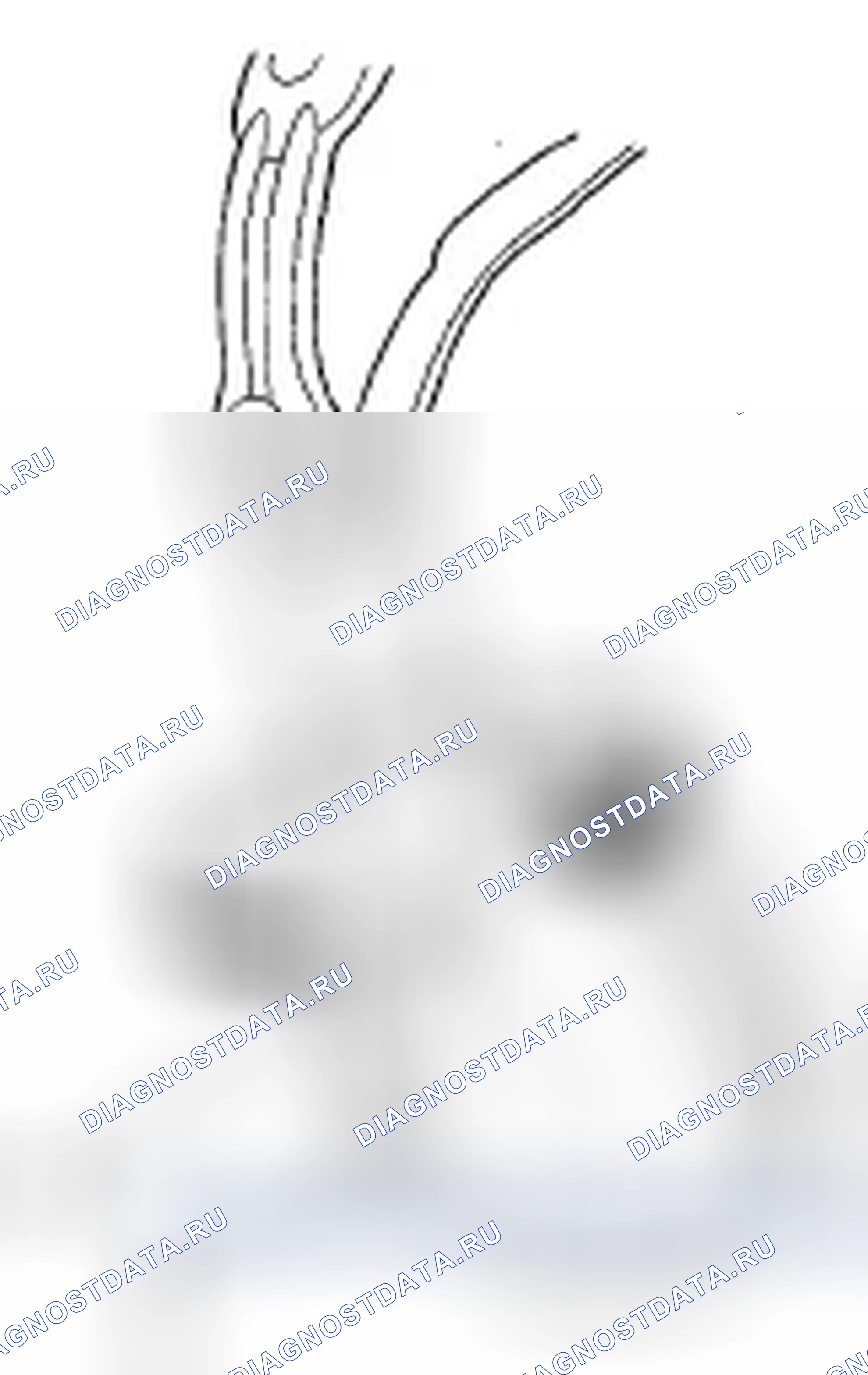 Рис. 21. Honda Odyssey IV