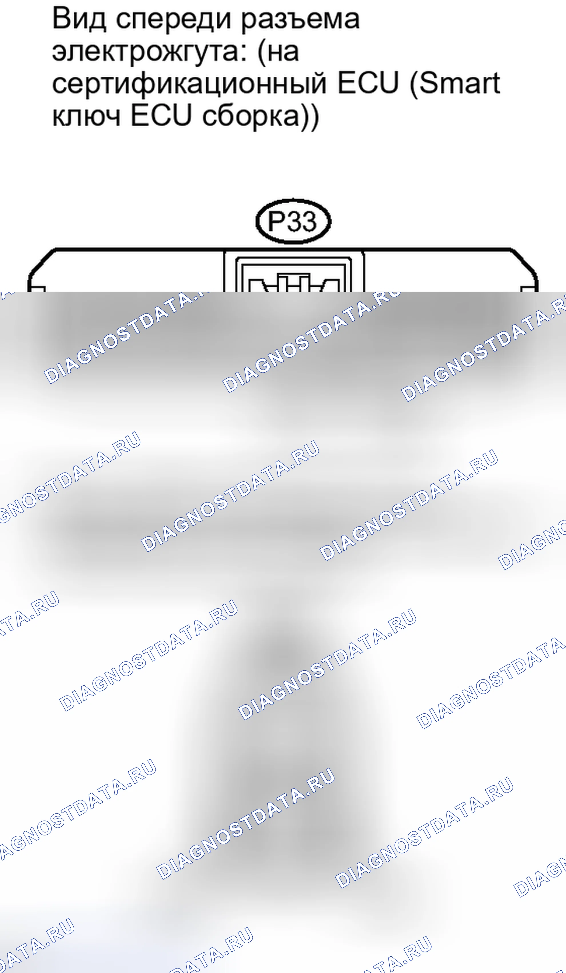 Рис. 248. Lexus IS F I