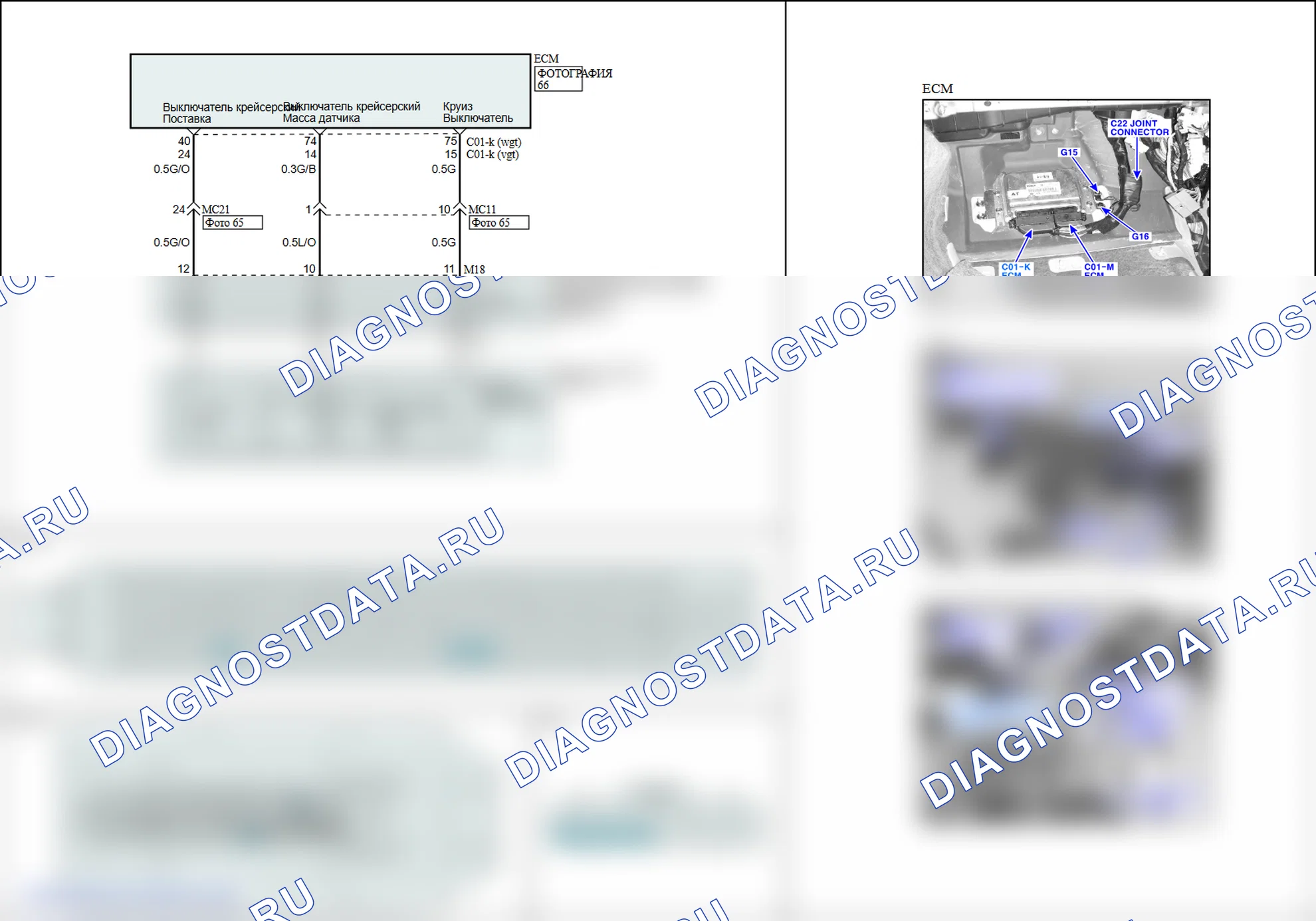P0564: Мультифункциональный вход A круиз-контроля. Kia Sorento BL