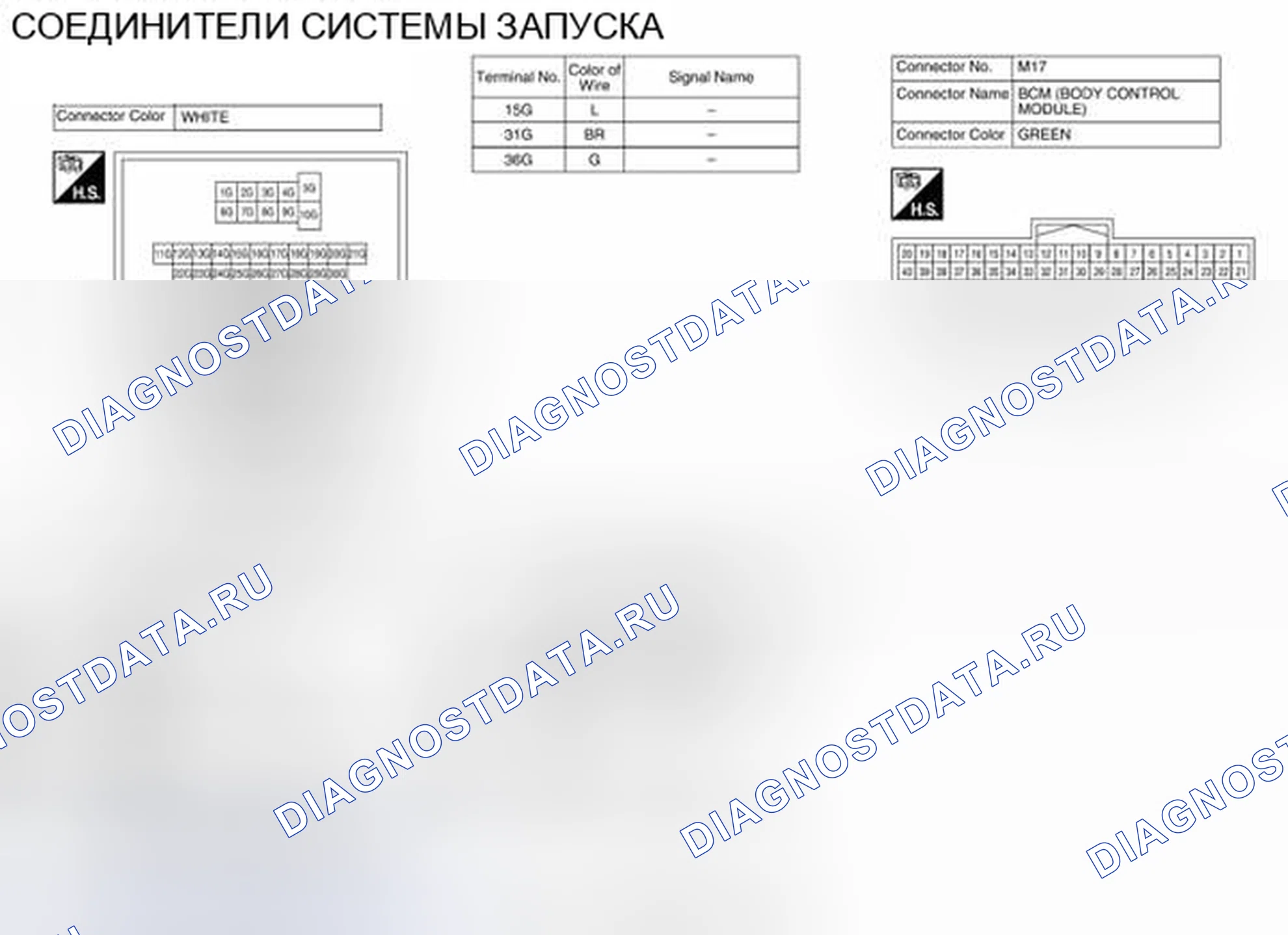 Рис. 4: Идентификация клемм разъема. Nissan Altima L33