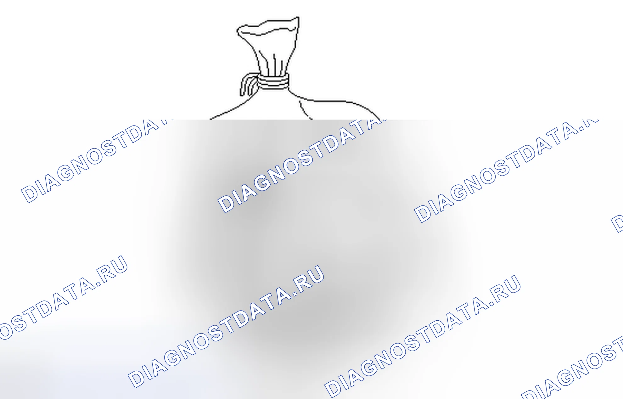 Рис. 51. Honda Accord IV