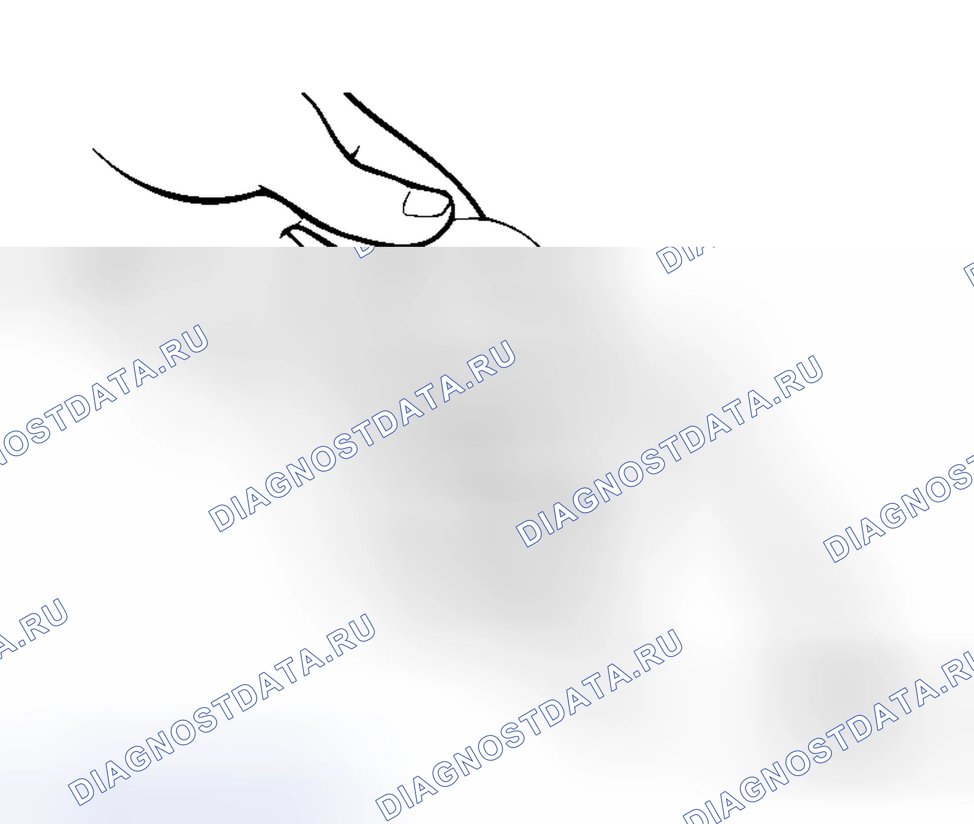Рис. 22. Honda Envix I