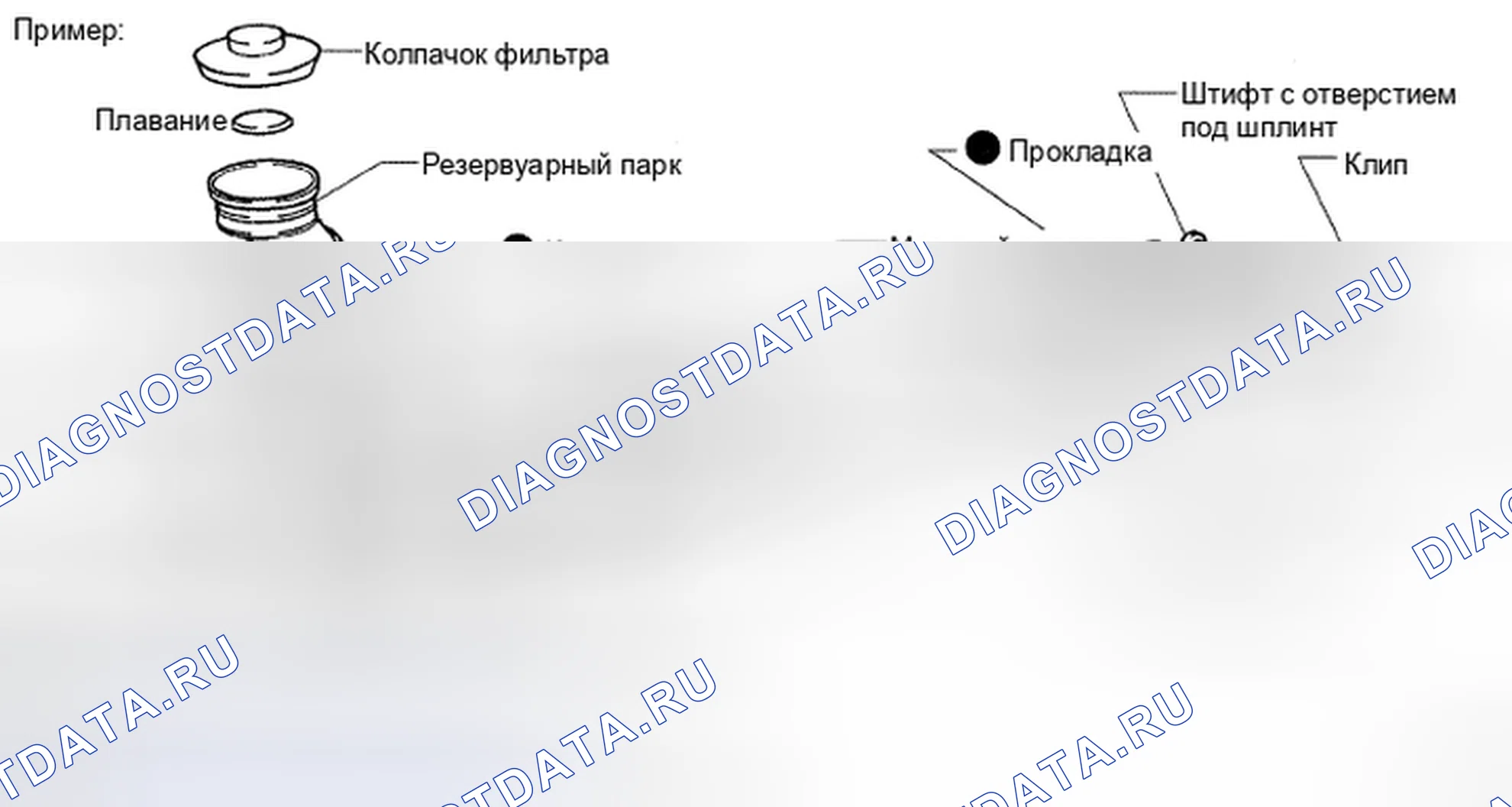 Рис. 1: ОБЩИЕ СВЕДЕНИЯ. Toyota Avalon XX30 рестайлинг