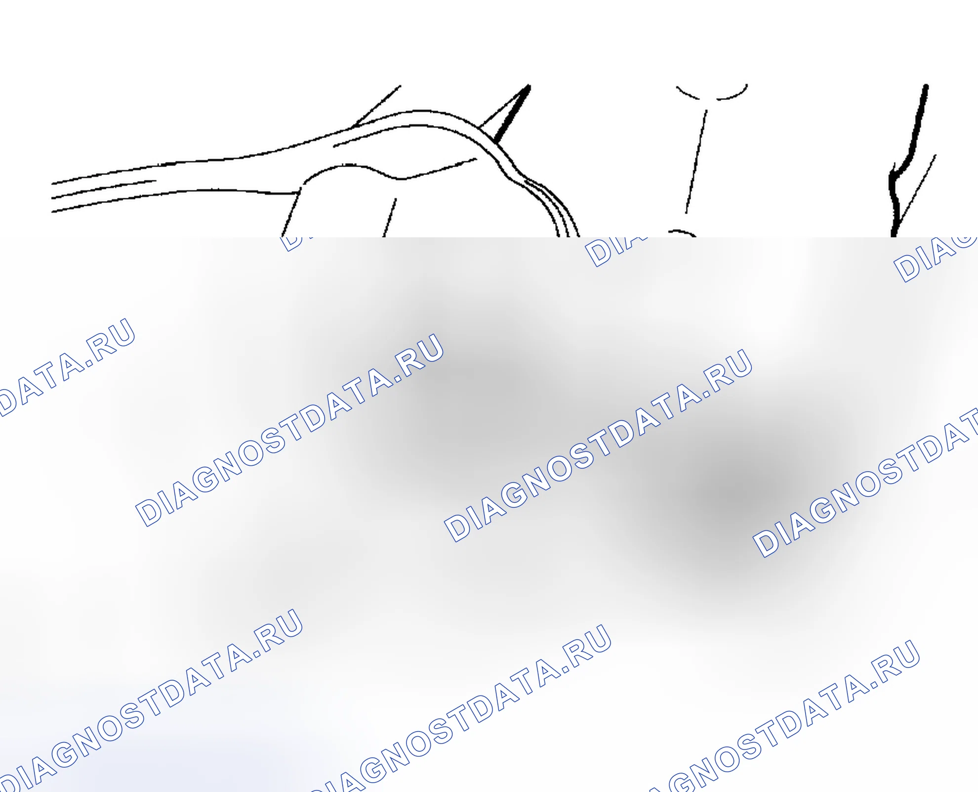 Рис. 108. Honda Accord VI