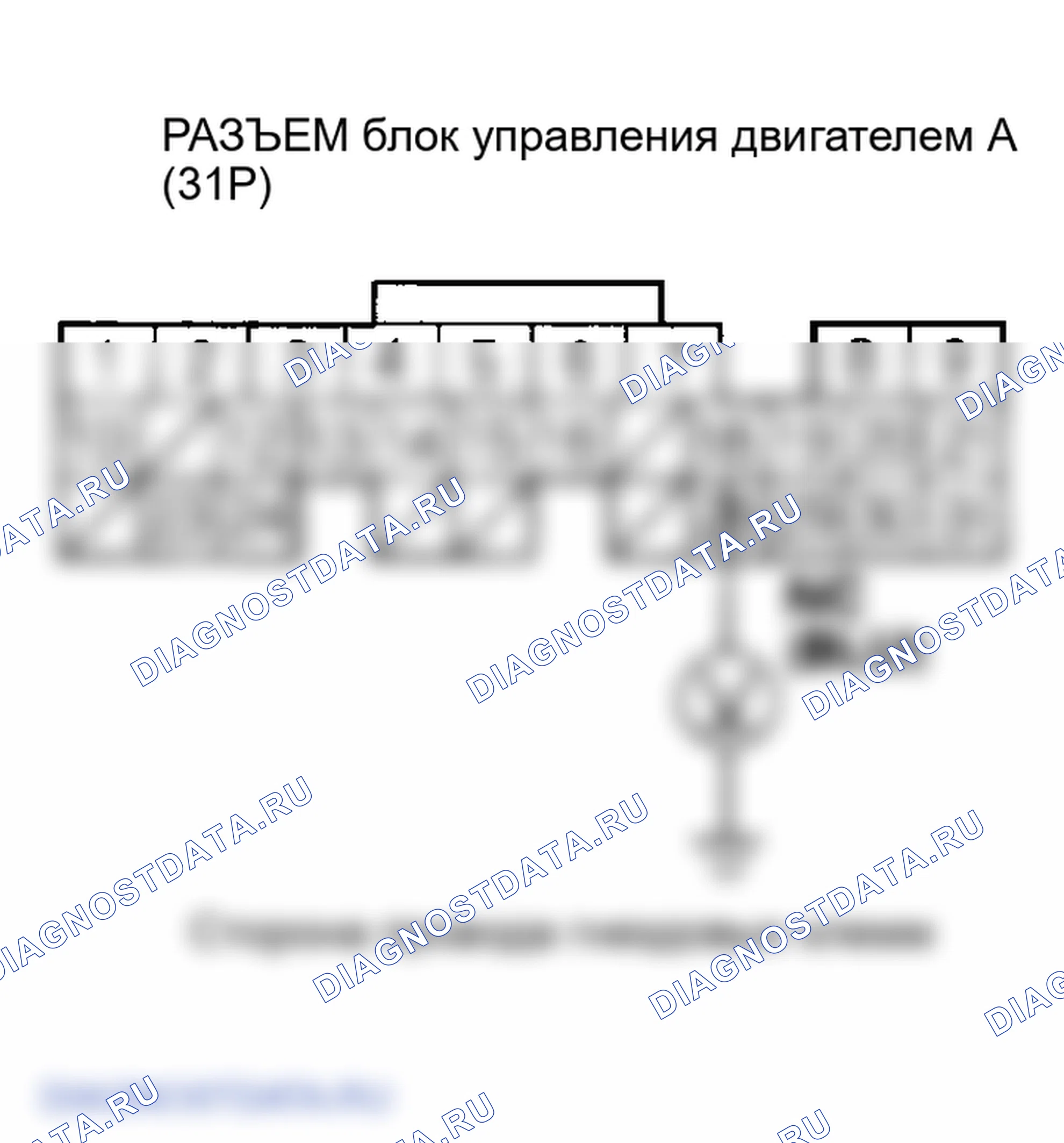 Рис. 152. Honda Element I