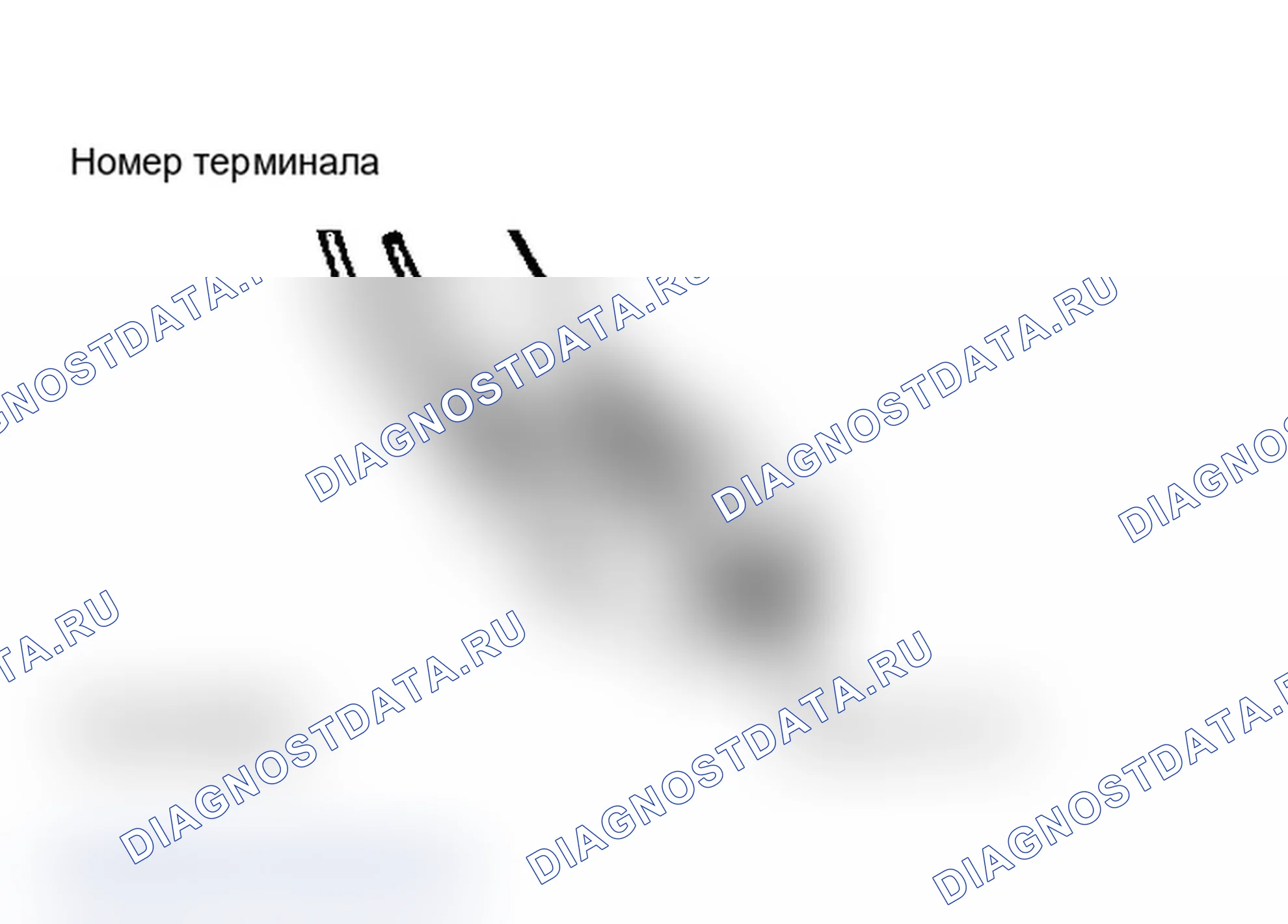 Рис. 1. Dodge Dakota 