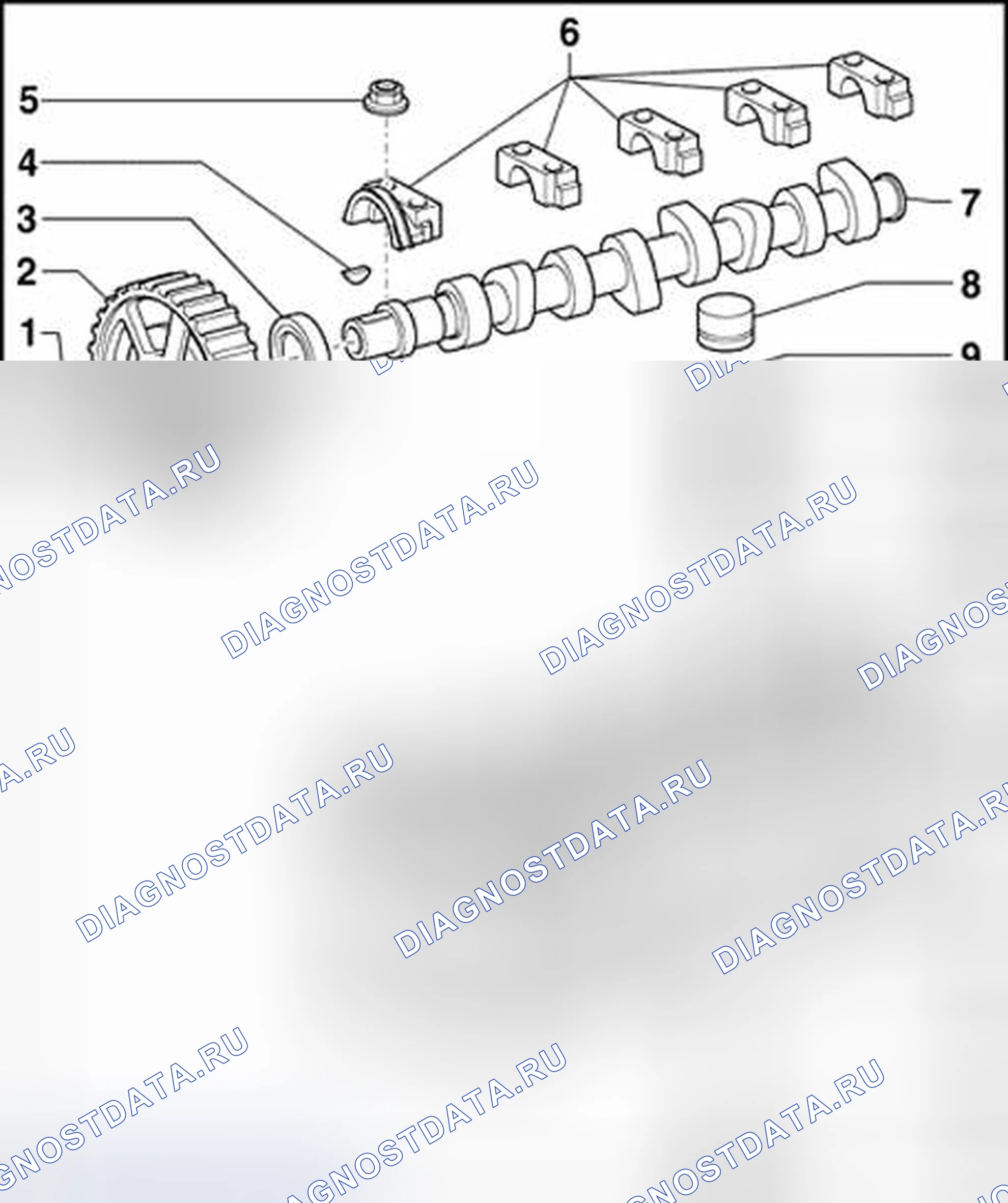 Рис. 15: Коды двигателей AEG, AVH, AZG, BEV. Volkswagen Golf Mk4