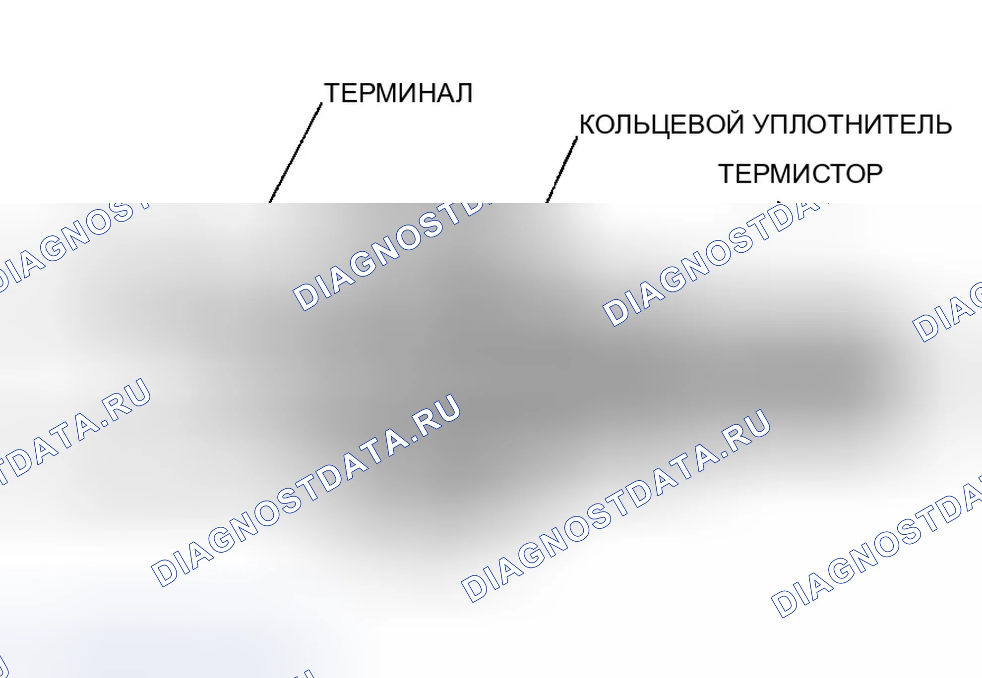Рис. 30: Датчик температуры охлаждающей жидкости двигателя (температура охлаждающей жидкости). Honda Element YH2