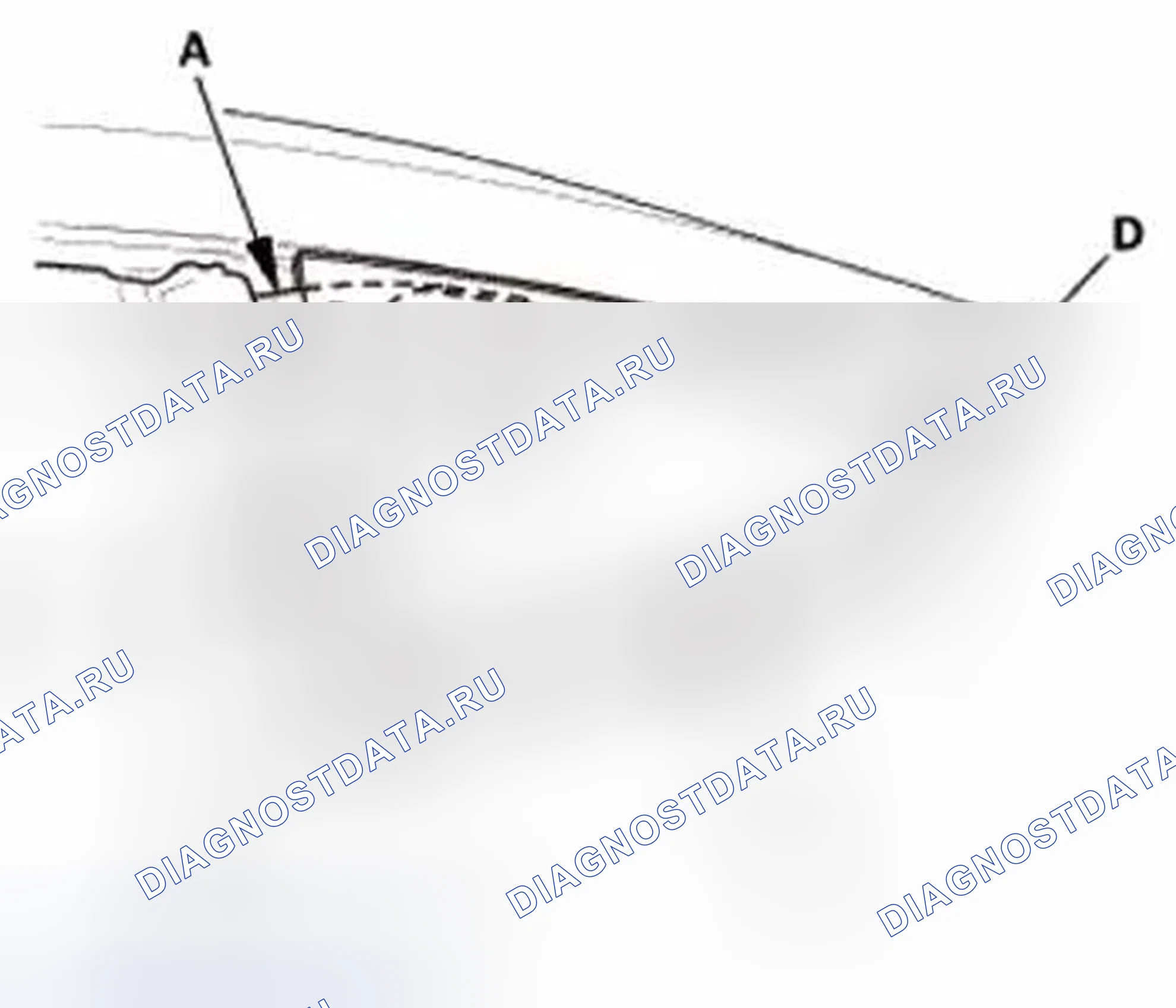 Рис. 310. Honda Civic IX