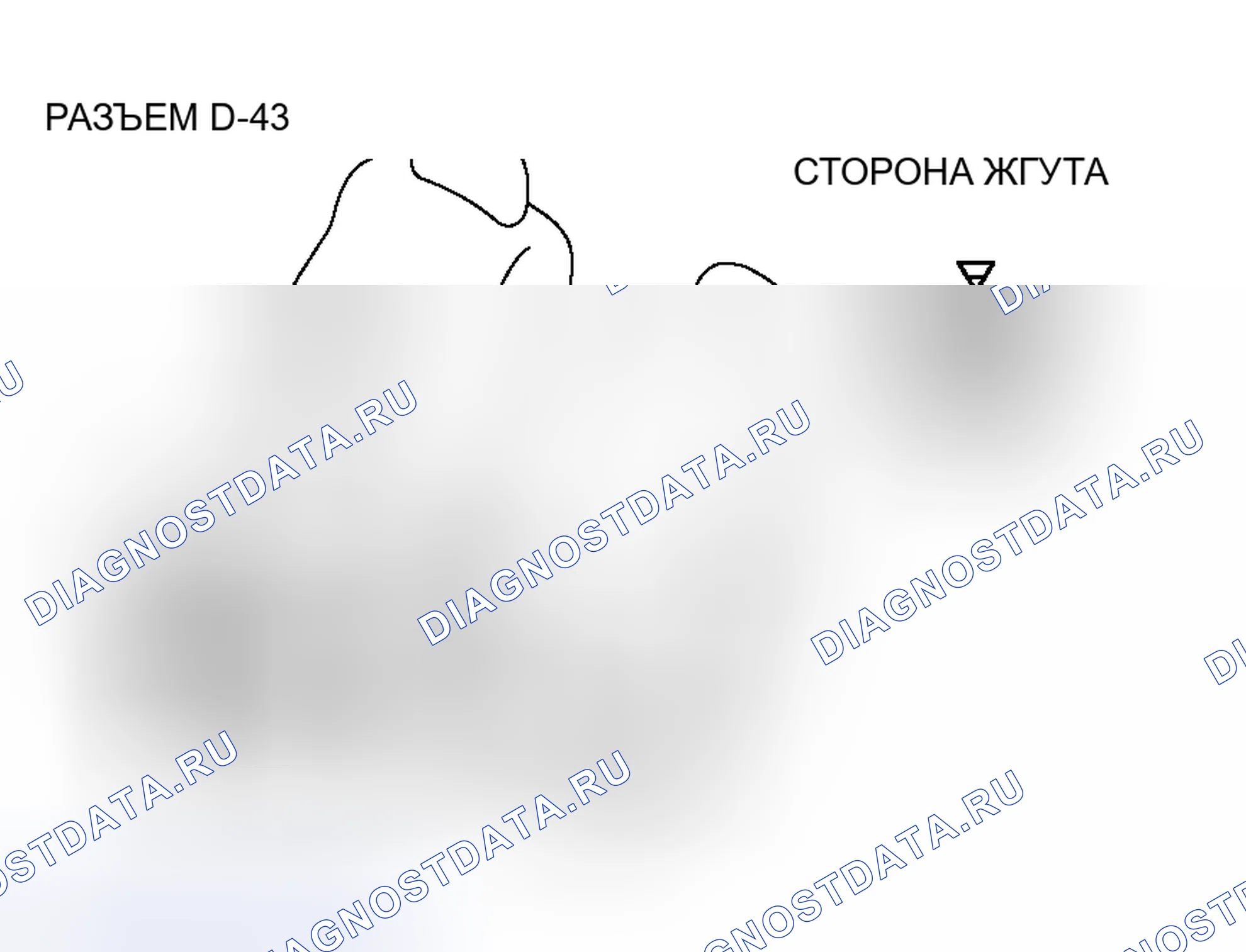 Рис. 286. Honda Envix I