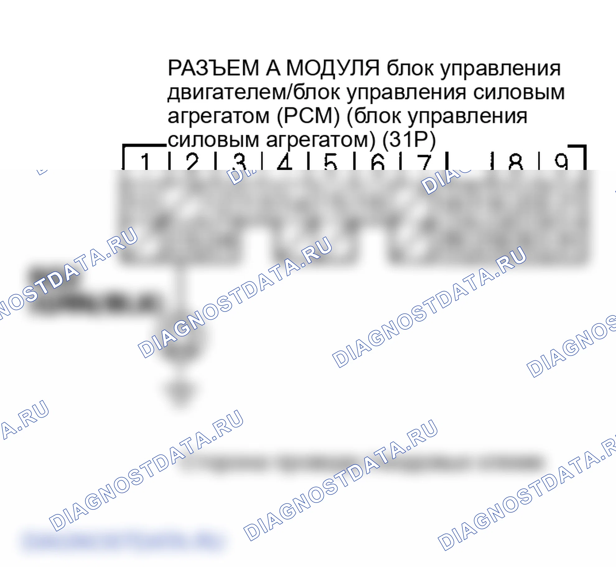 Рис. 71. Honda Element YH2