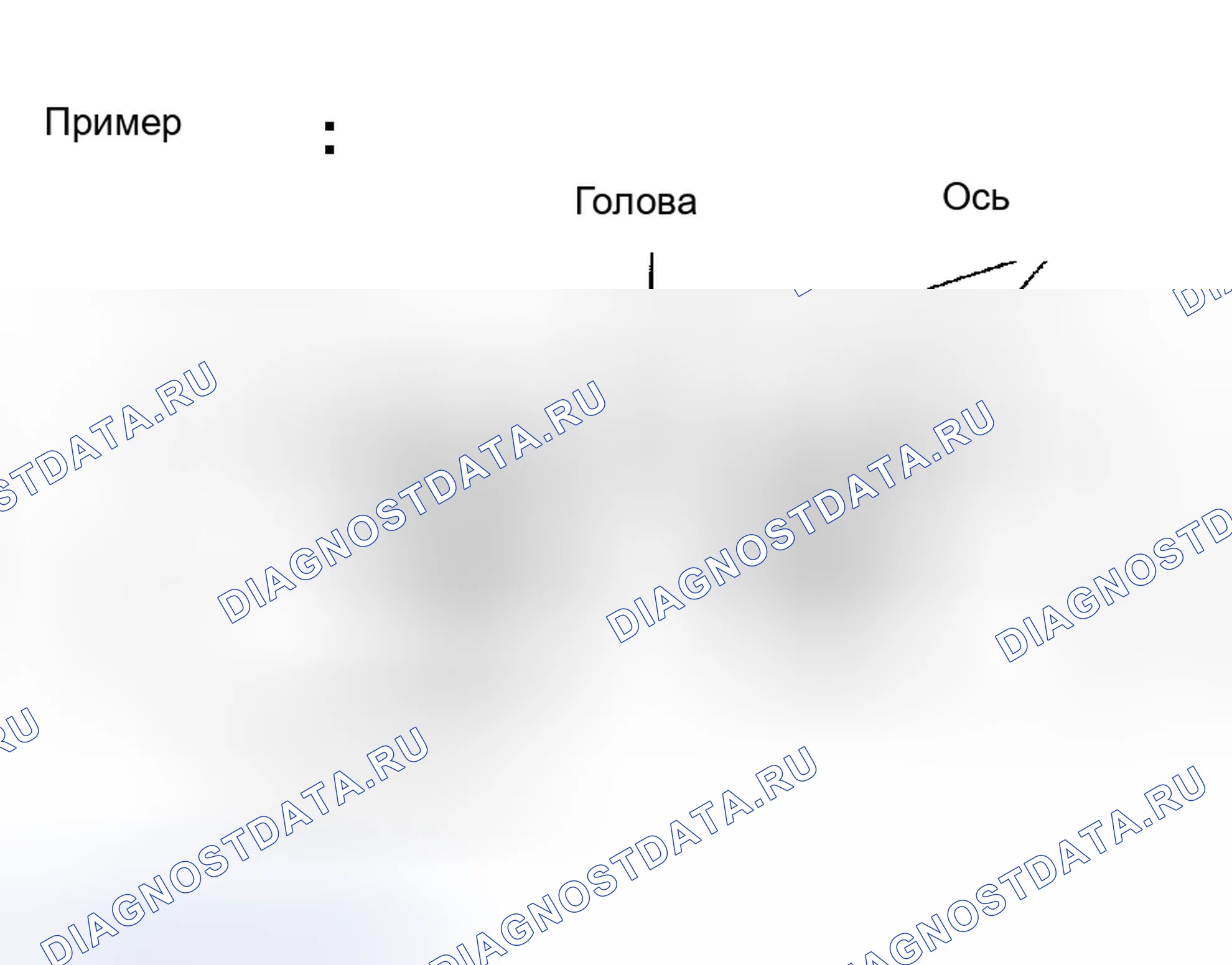 Рис. 6. Toyota Camry XV30