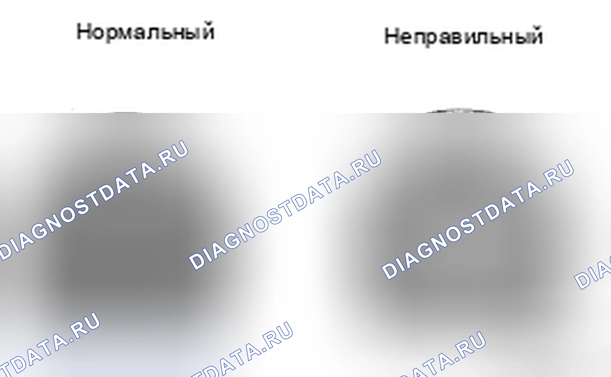 Рис. 3. Kia Sorento I рестайлинг